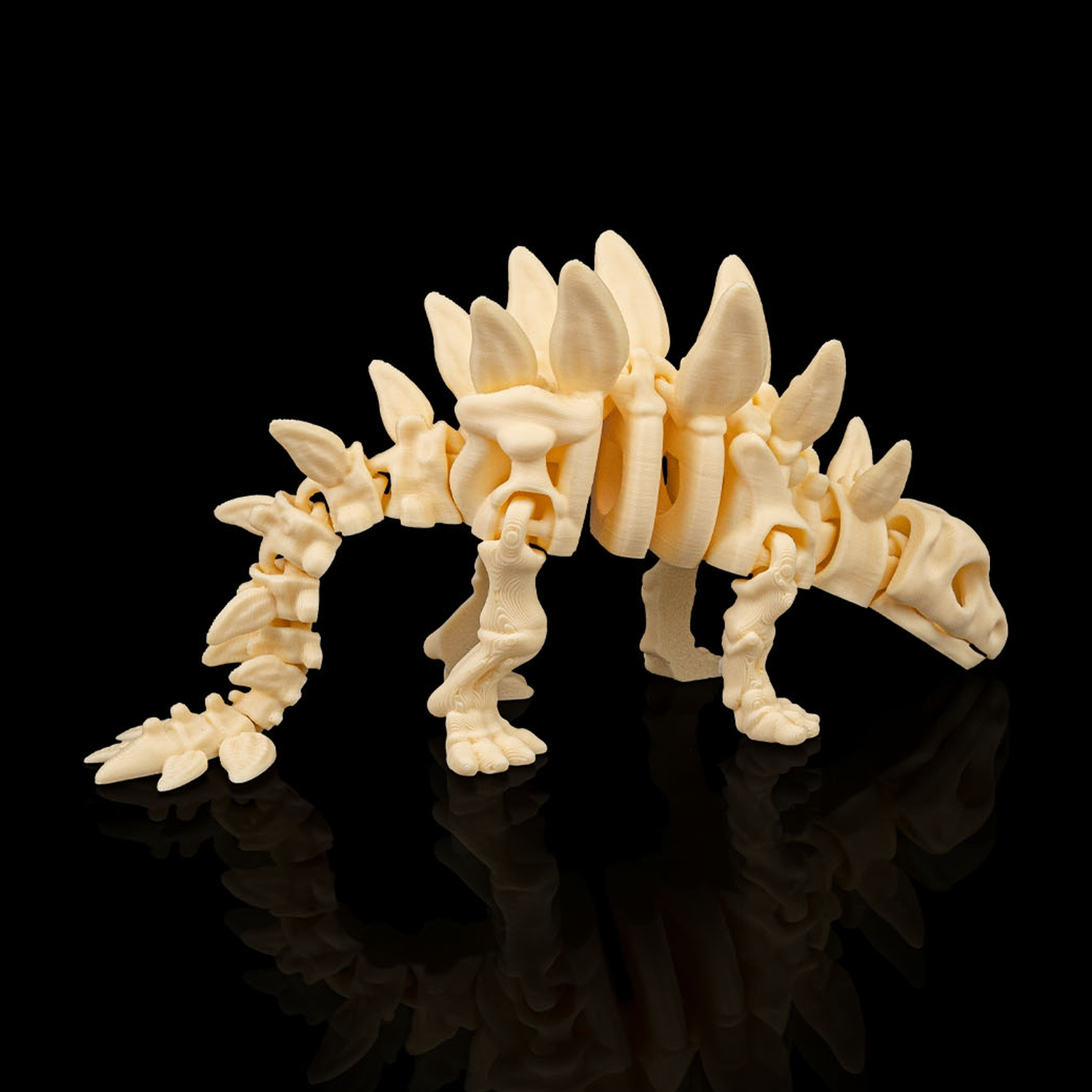 Skeleton Stegosaurus