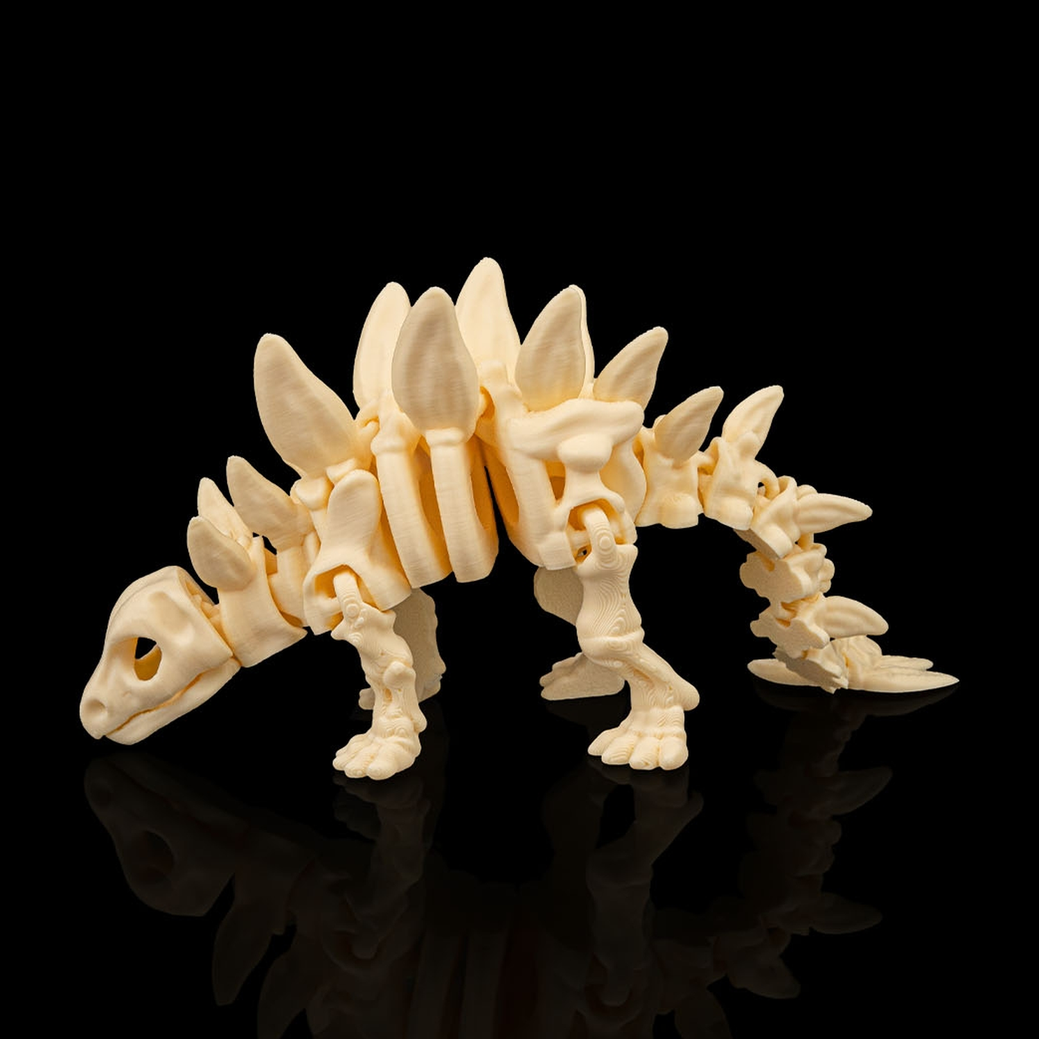 Skeleton Stegosaurus
