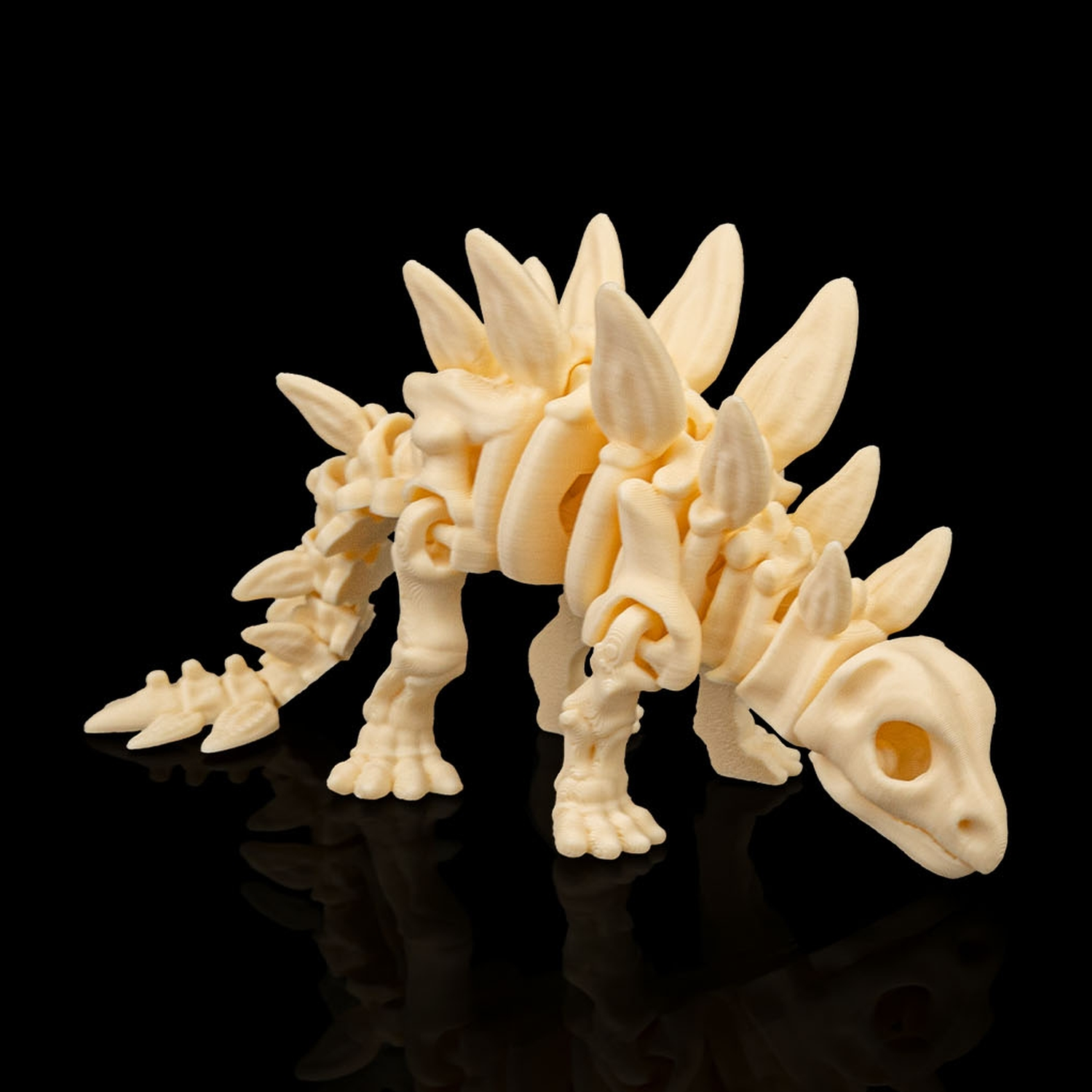 Skeleton Stegosaurus