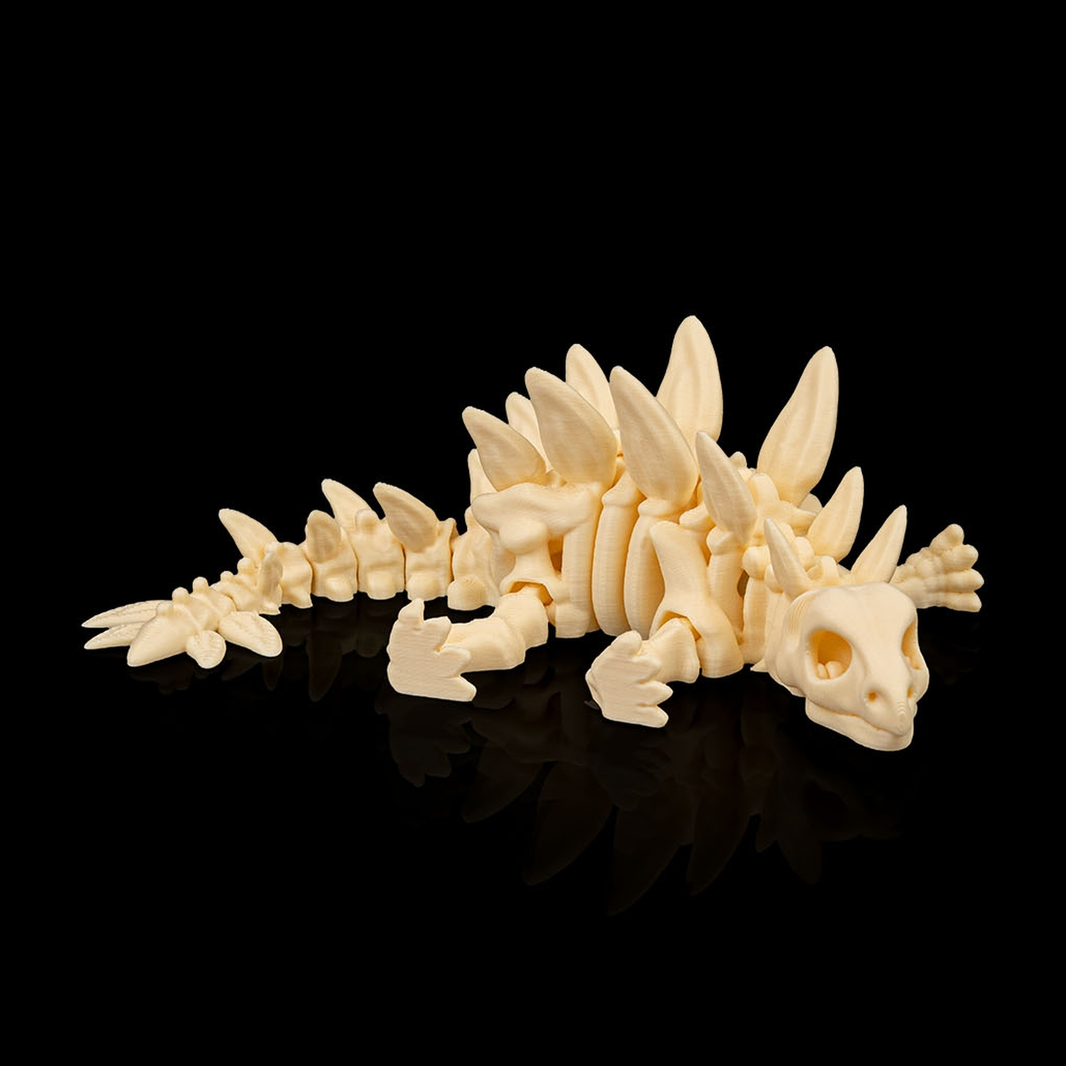 Skeleton Stegosaurus