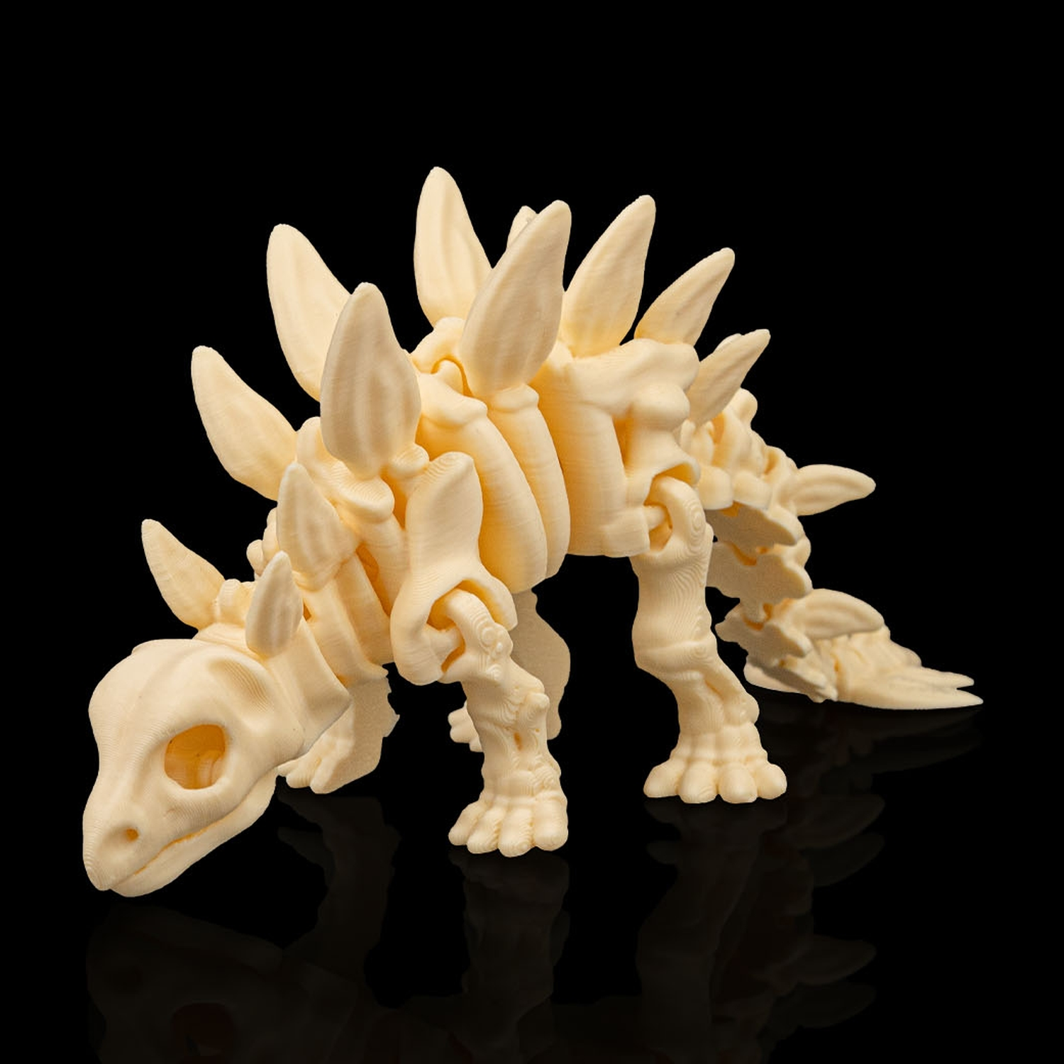 Skeleton Stegosaurus
