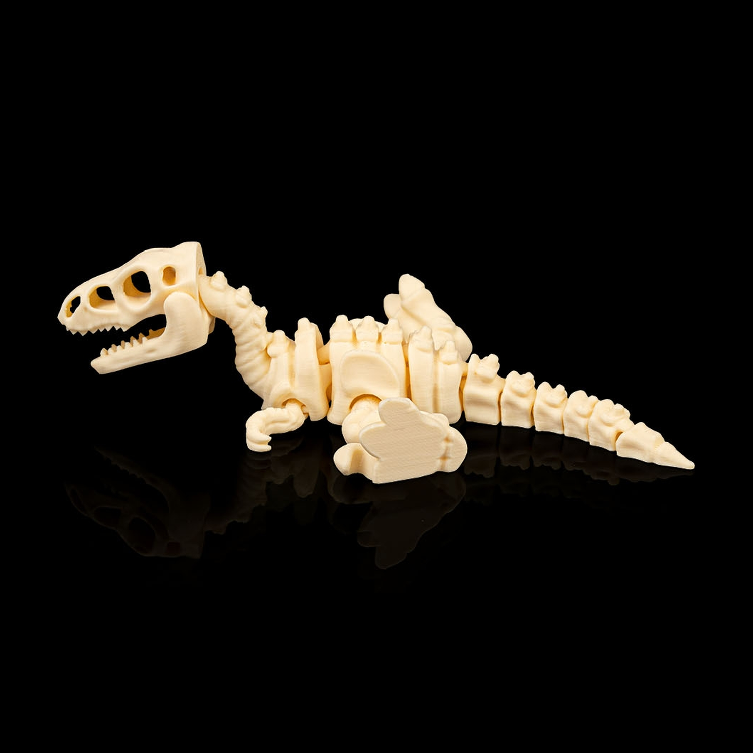 Skeleton Velociraptor