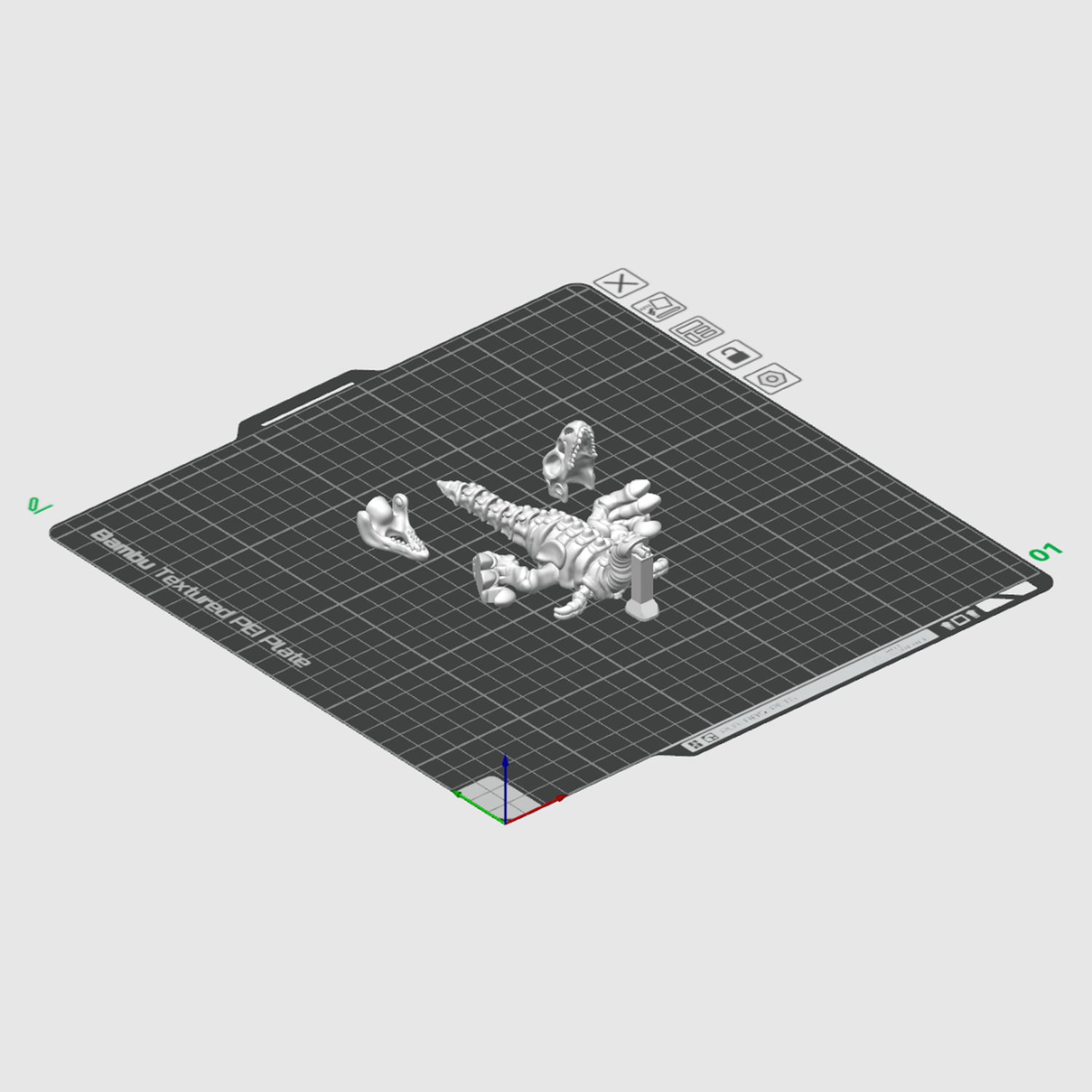 Skeleton Velociraptor