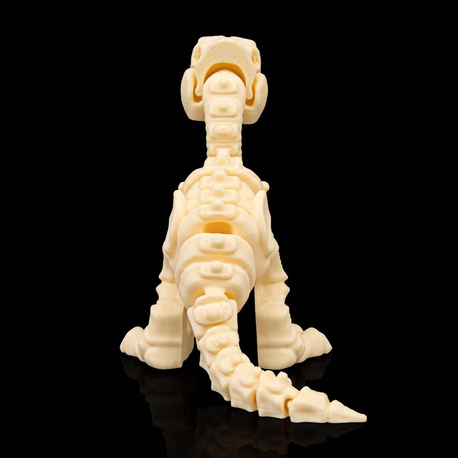 Skeleton Velociraptor