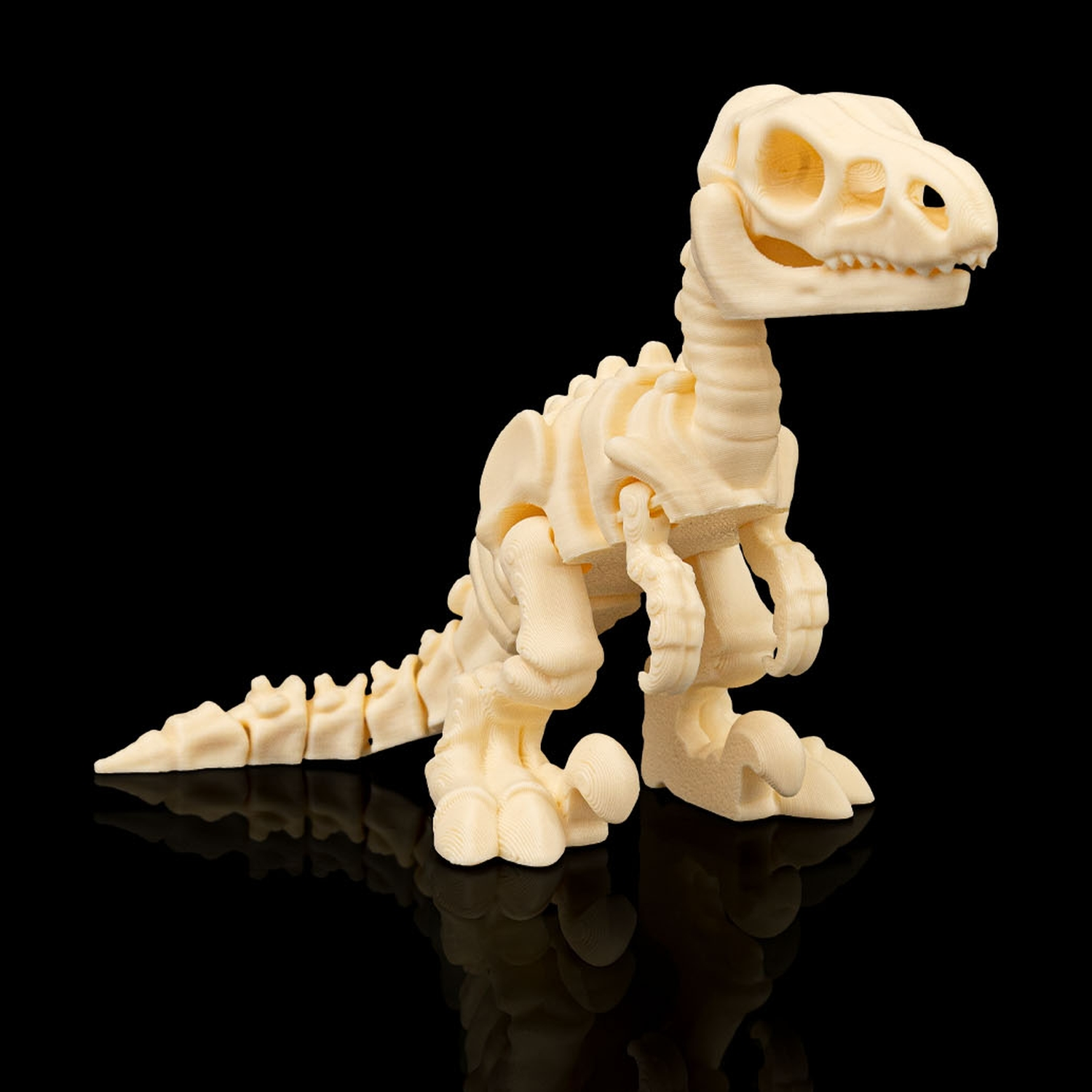 Skeleton Velociraptor