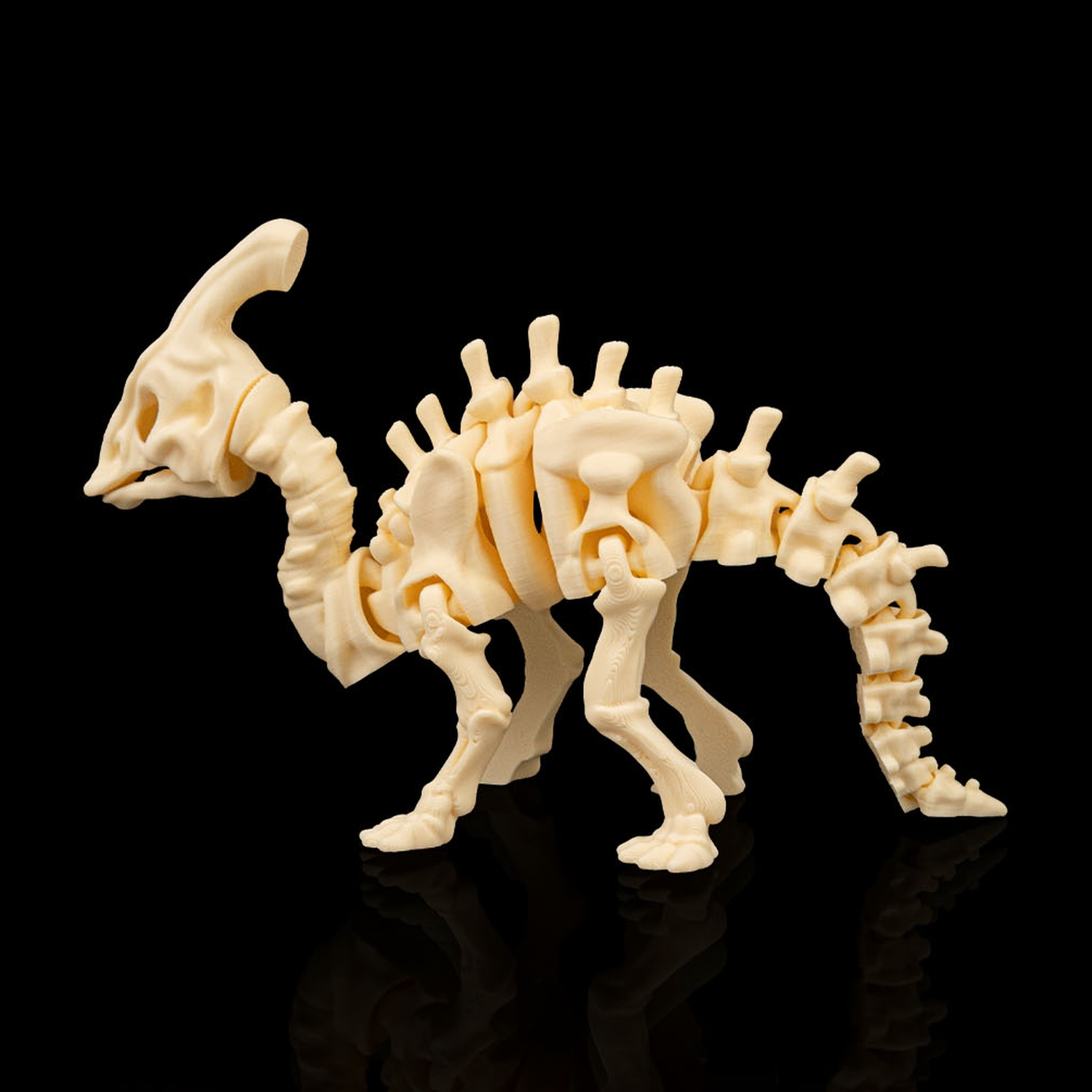 Skeleton Parasaurolophus