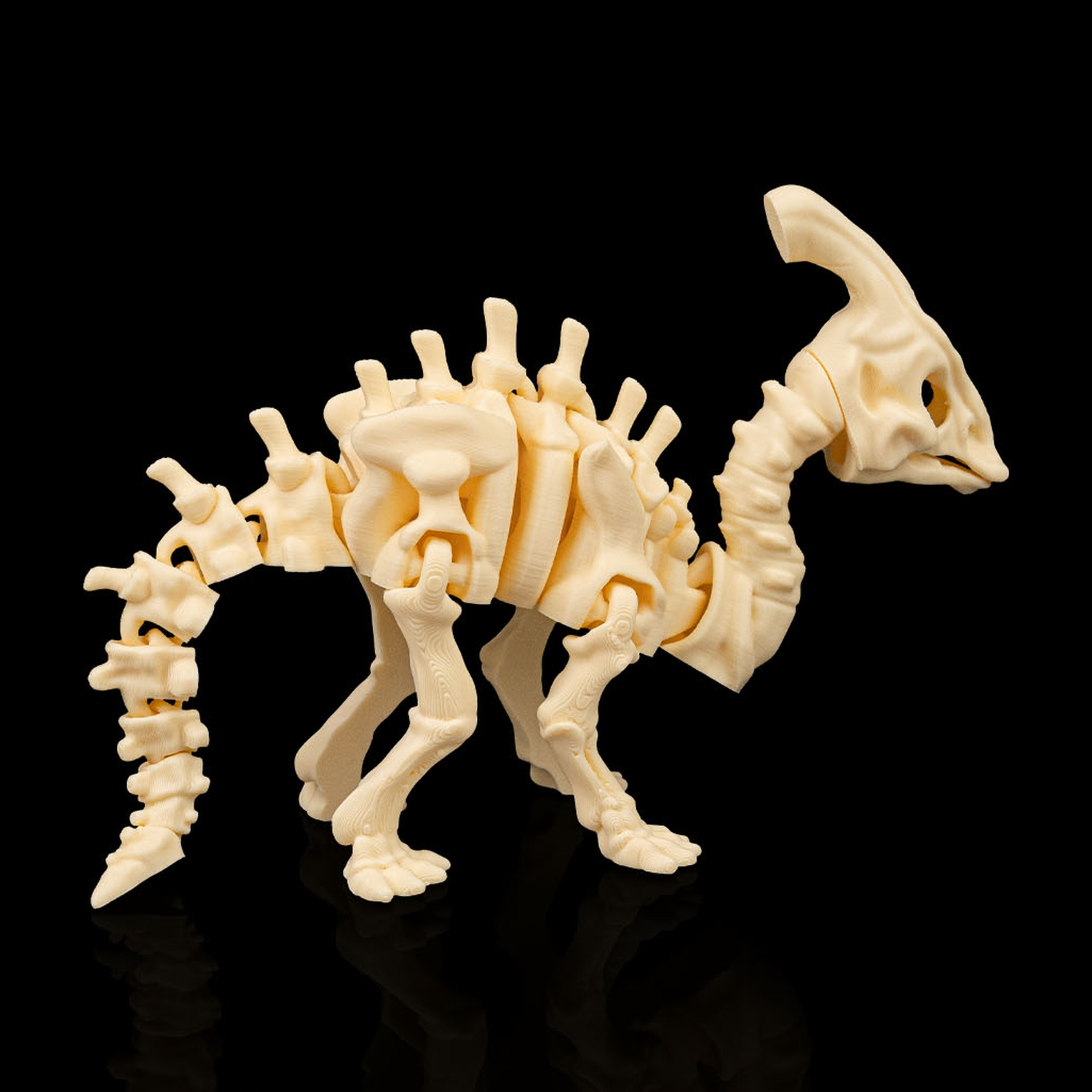 Skeleton Parasaurolophus