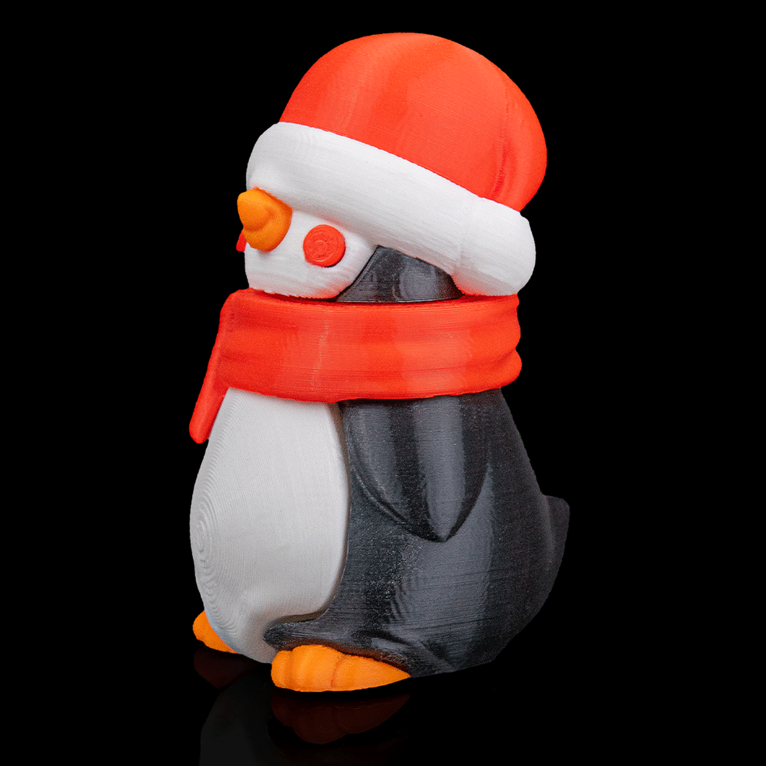 North Pole Tourist