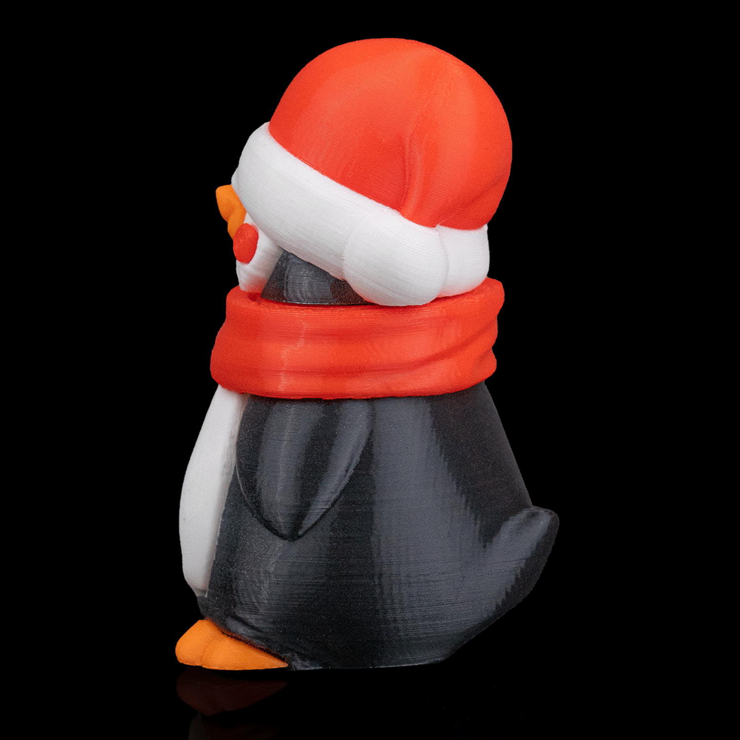 North Pole Tourist