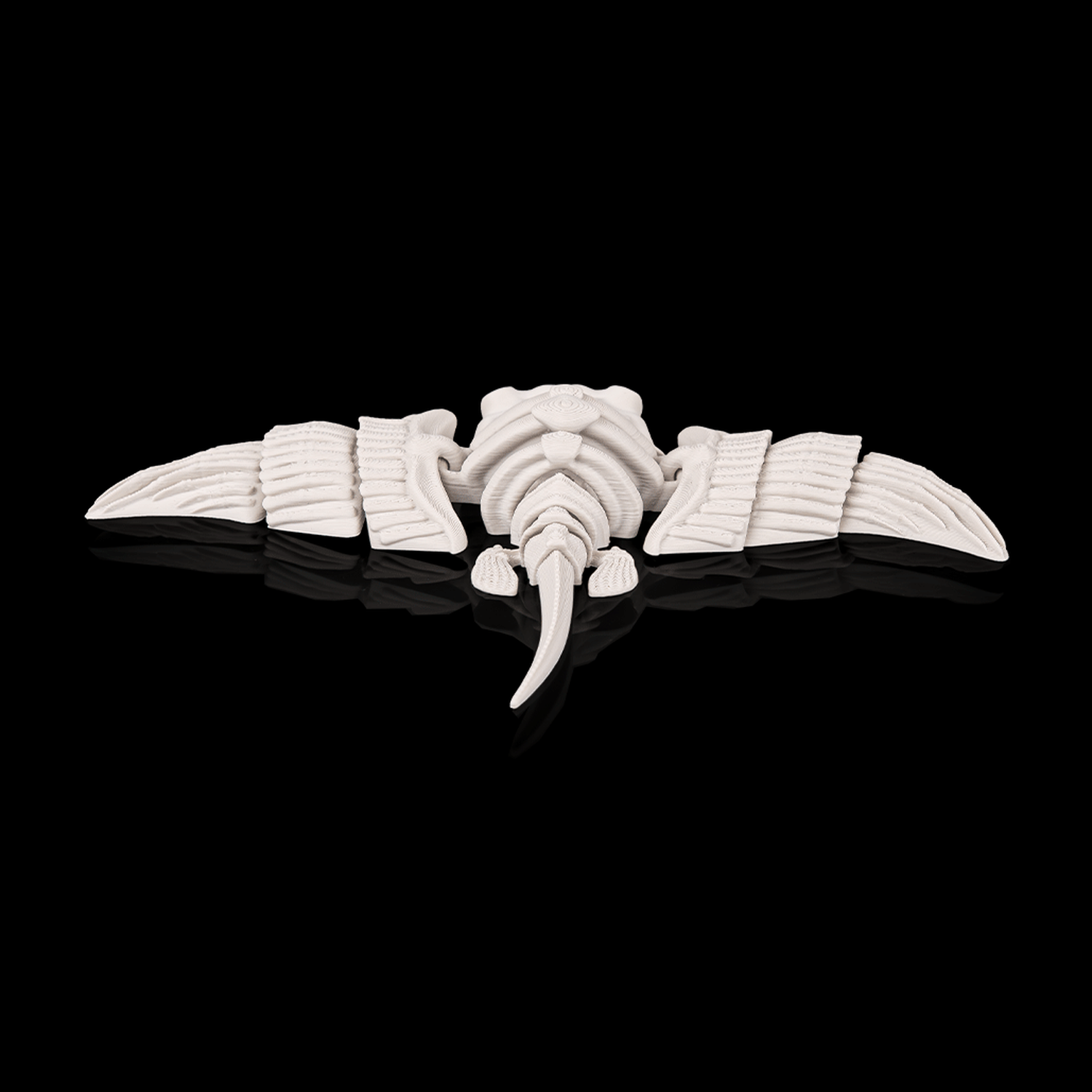 Skeleton Manta Ray