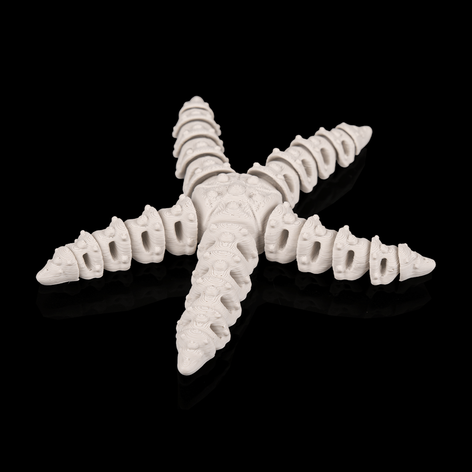 Skeleton Starfish