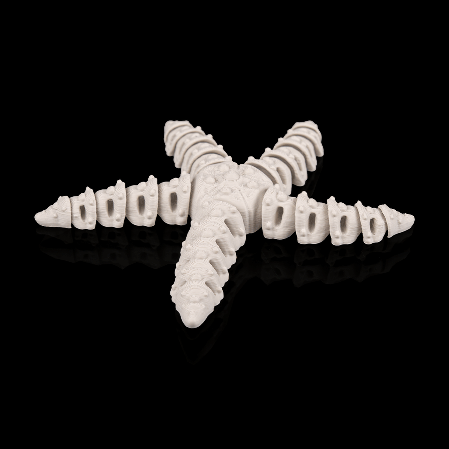 Skeleton Starfish