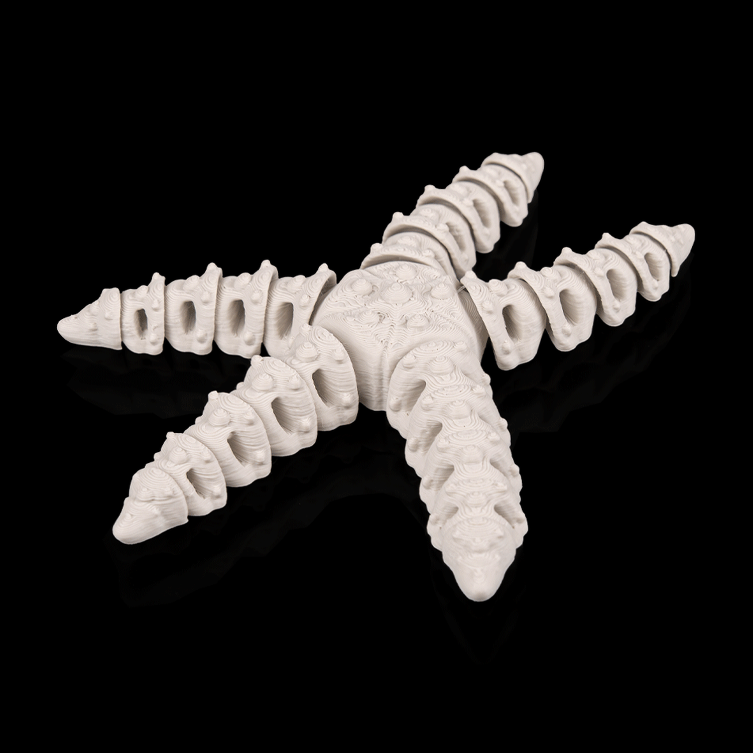 Skeleton Starfish