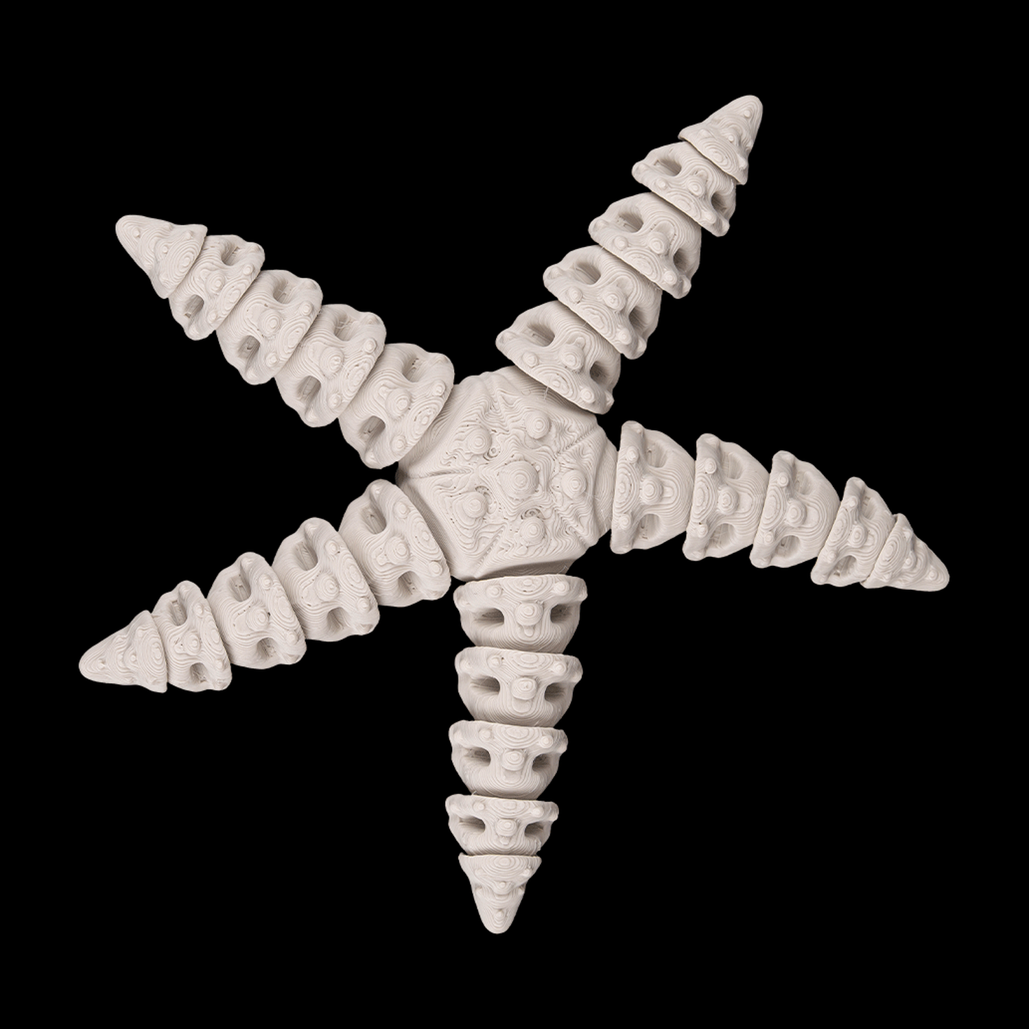 Skeleton Starfish