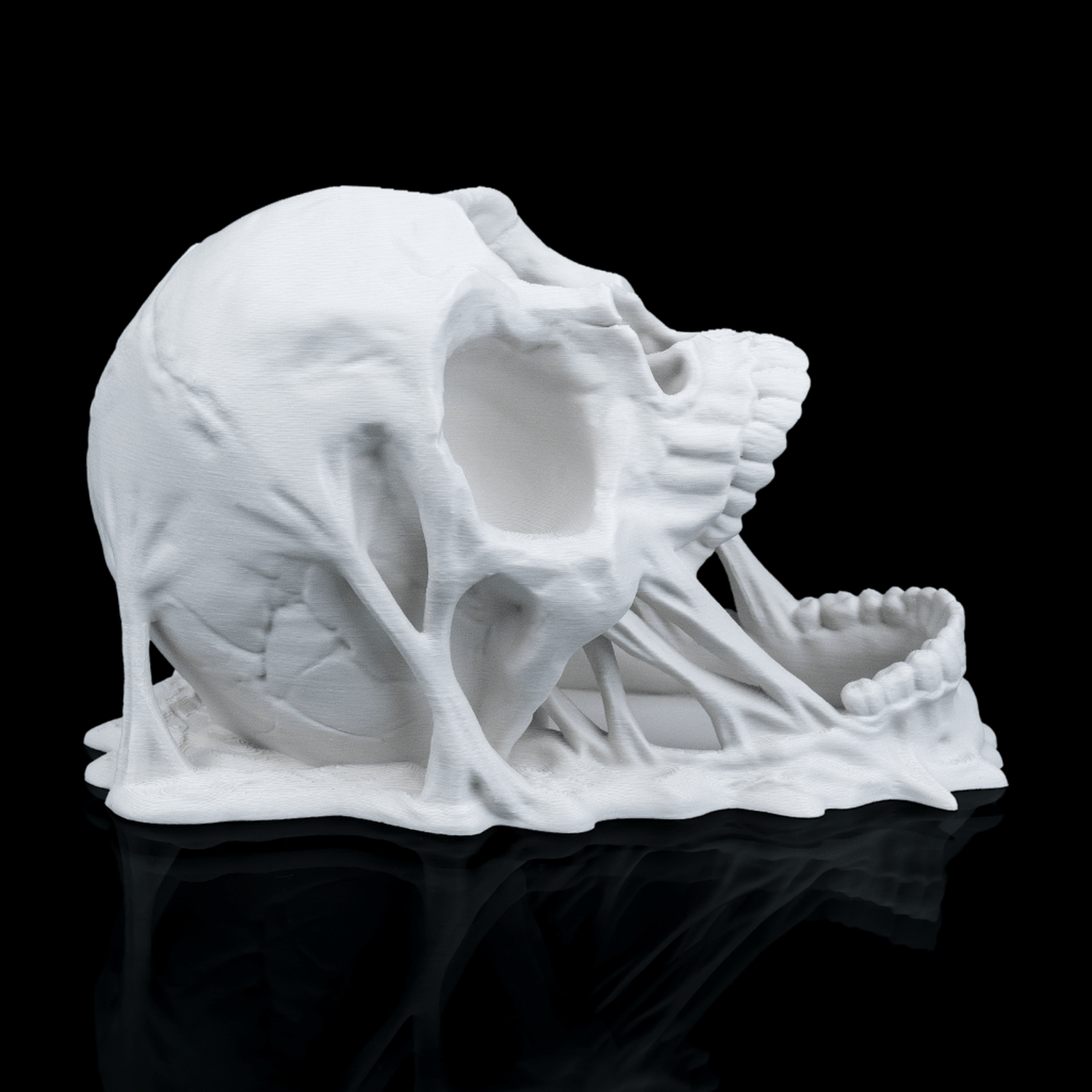 Doom Skull - Dice Tower