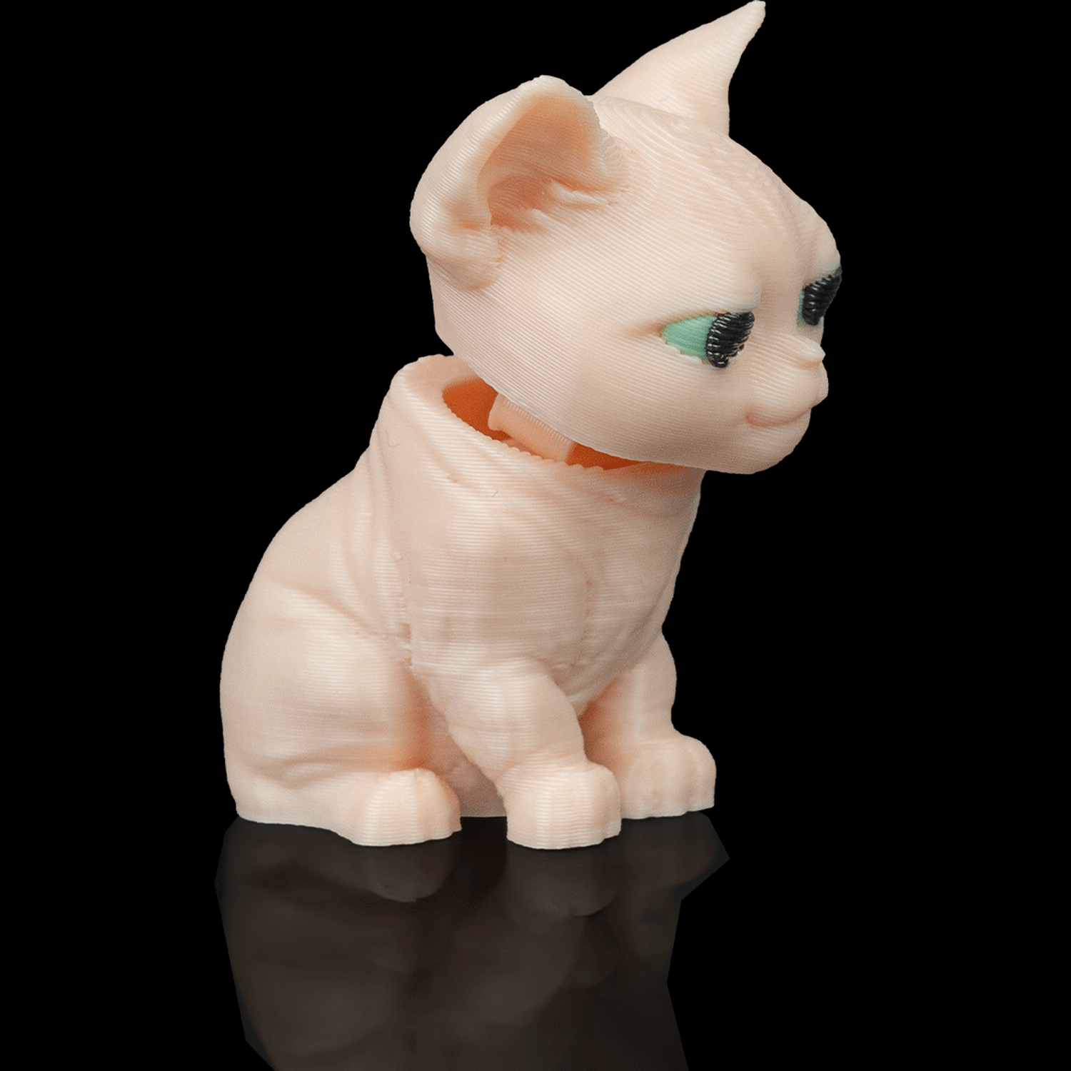 Stitched Pack - Sphynx