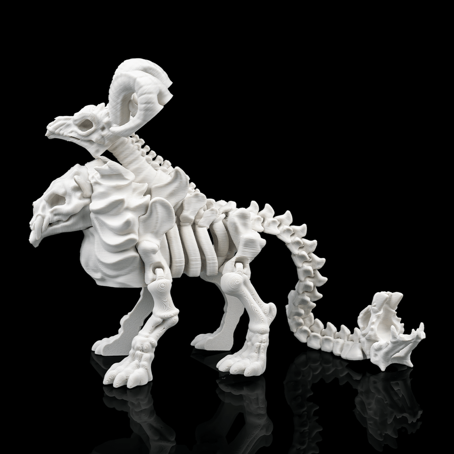 Chimera Skeleton