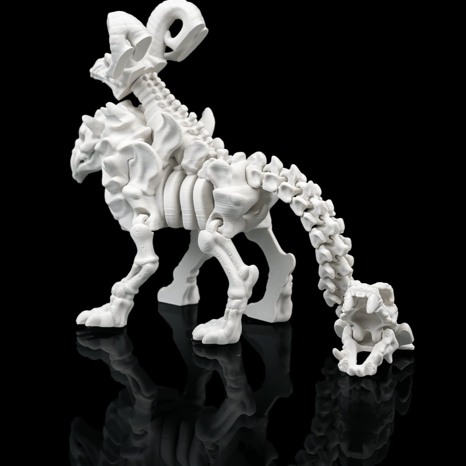 Chimera Skeleton