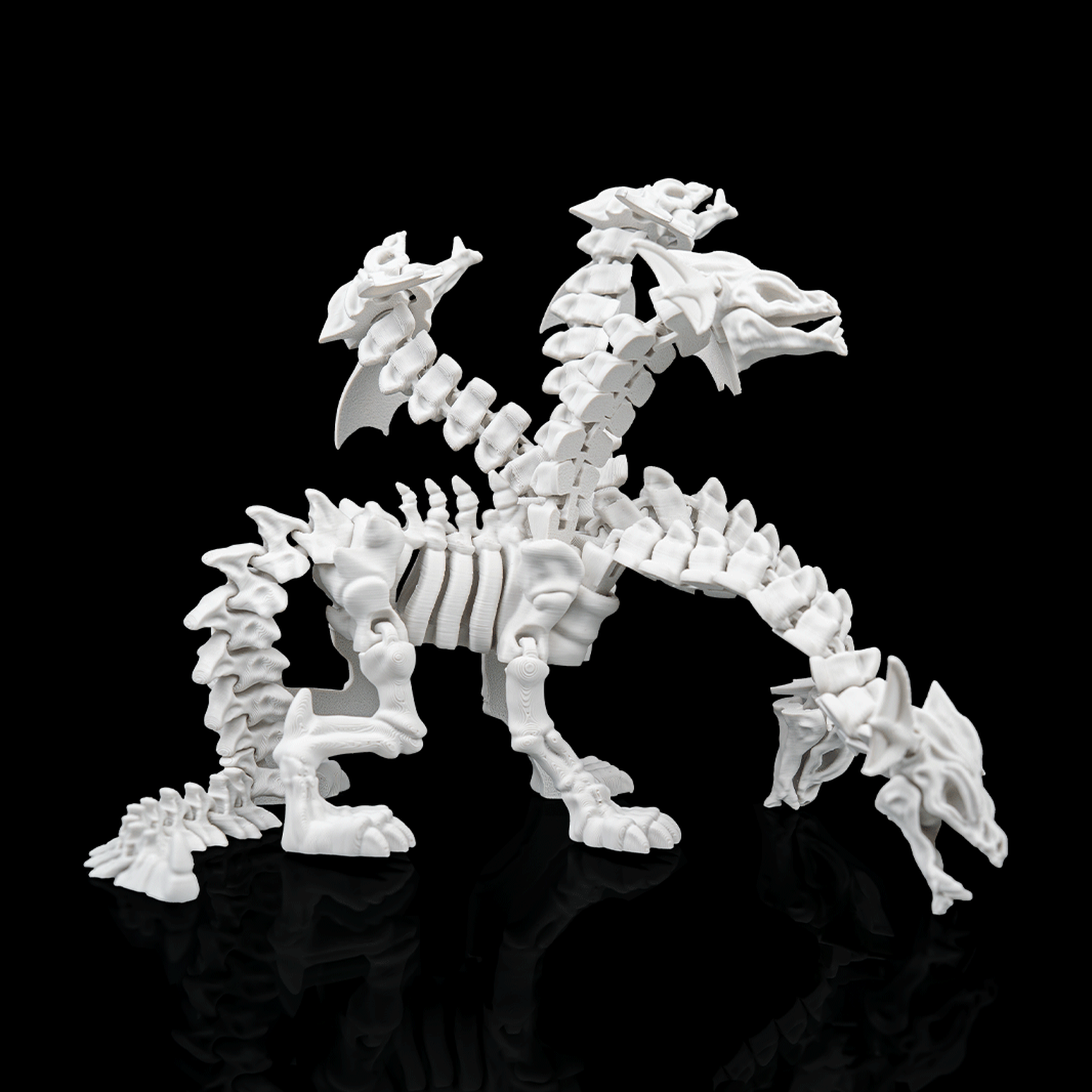 Hydra Skeleton