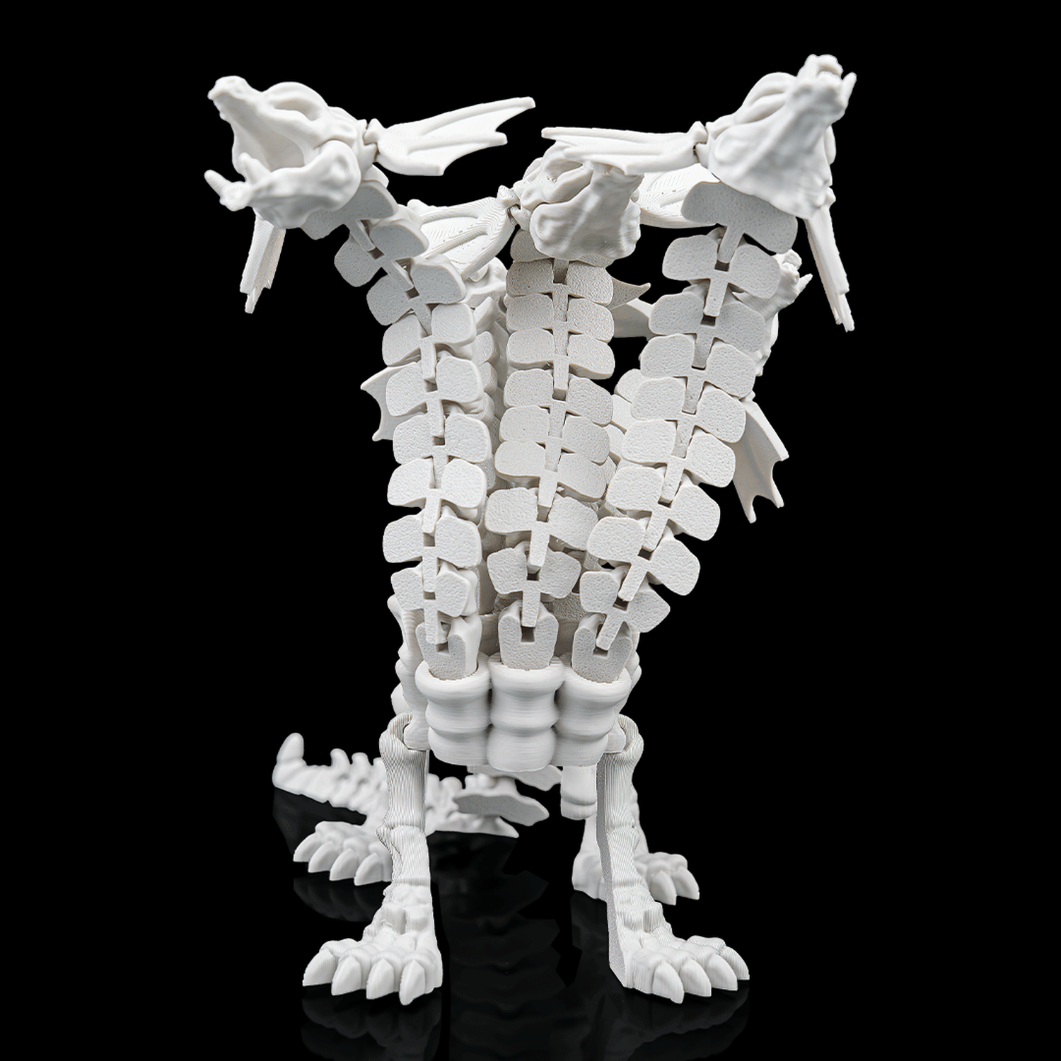 Hydra Skeleton