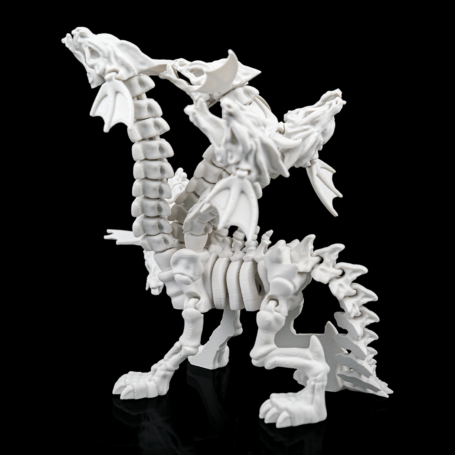 Hydra Skeleton