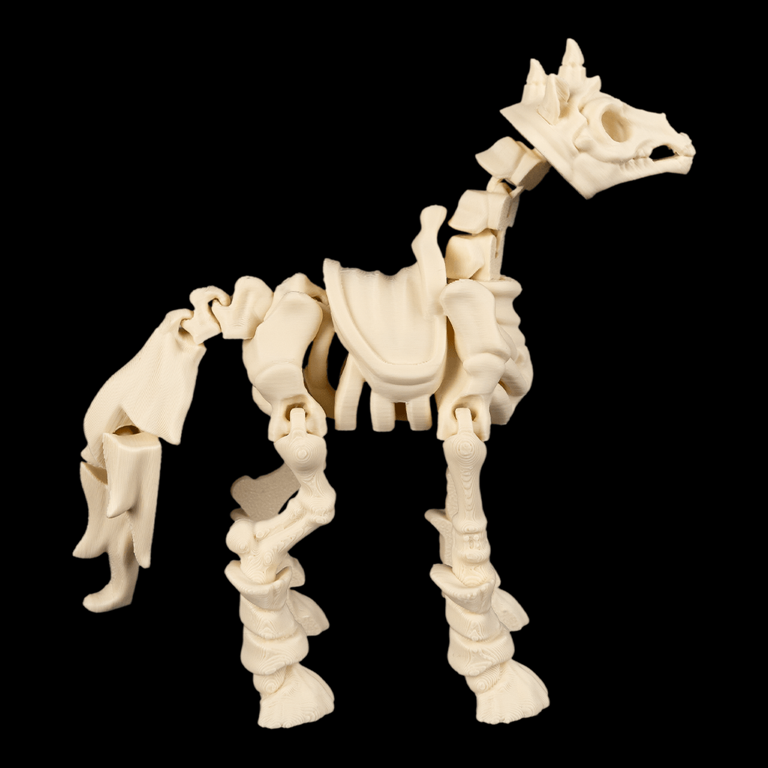 Boneback Steed