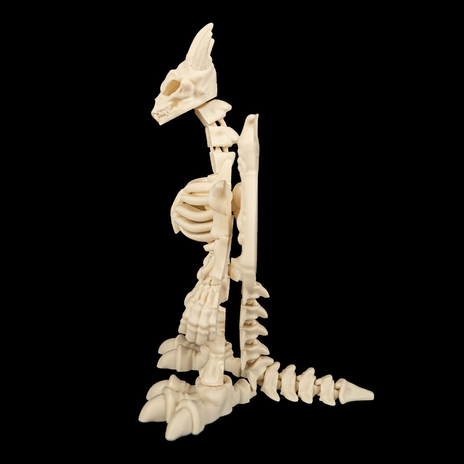 Bone Dragonborn