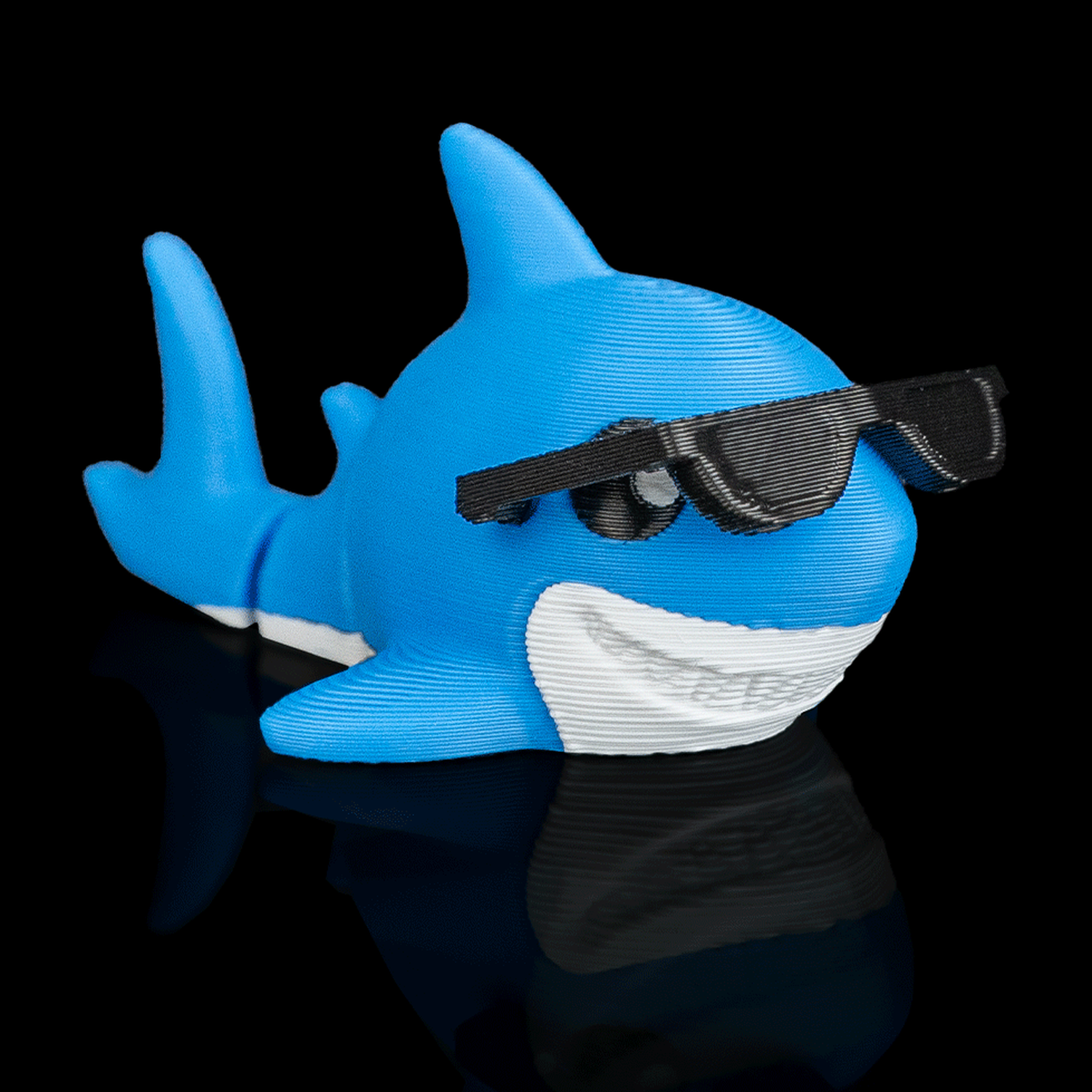 Cool Shark