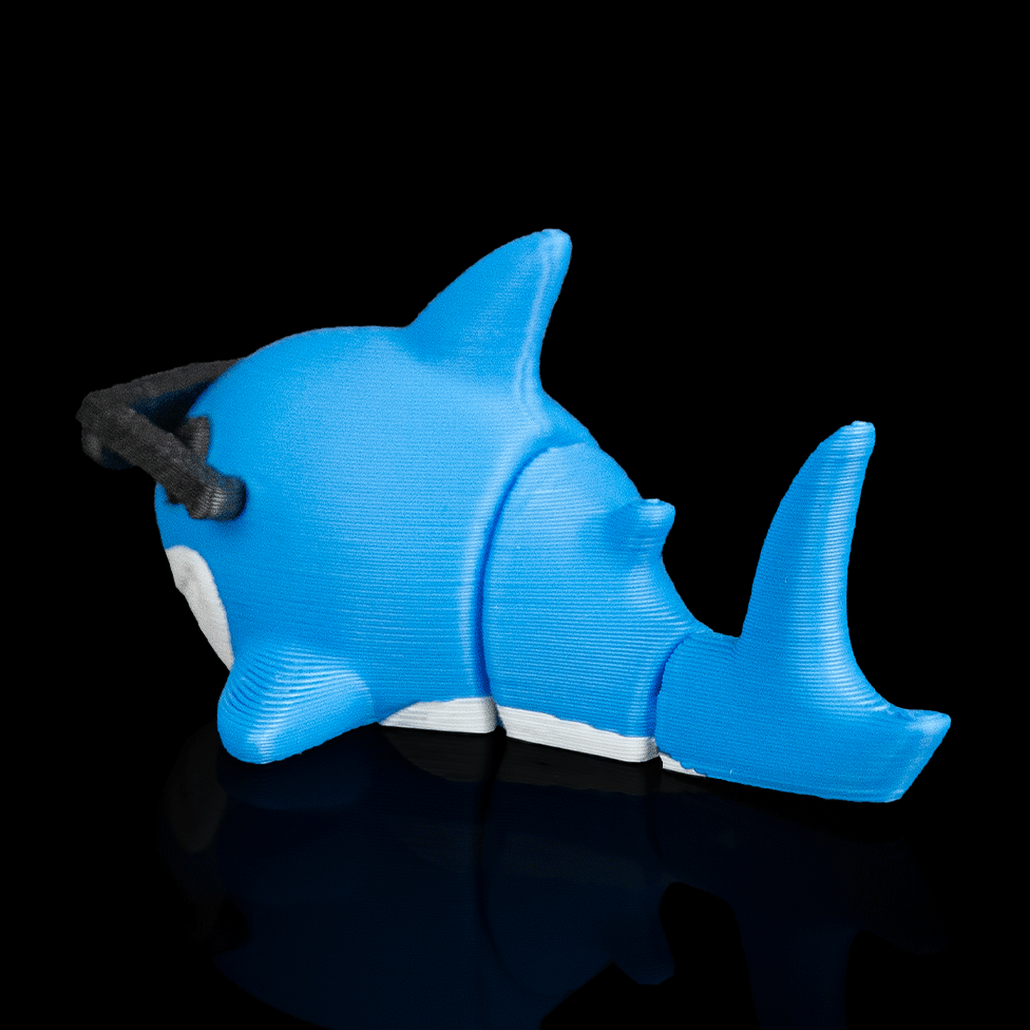 Cool Shark