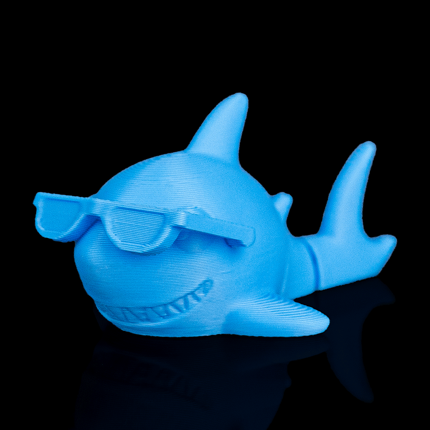 Cool Shark