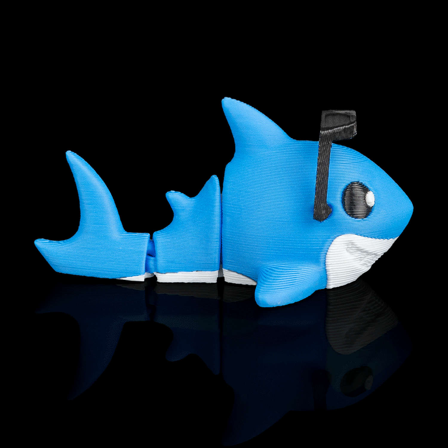 Cool Shark