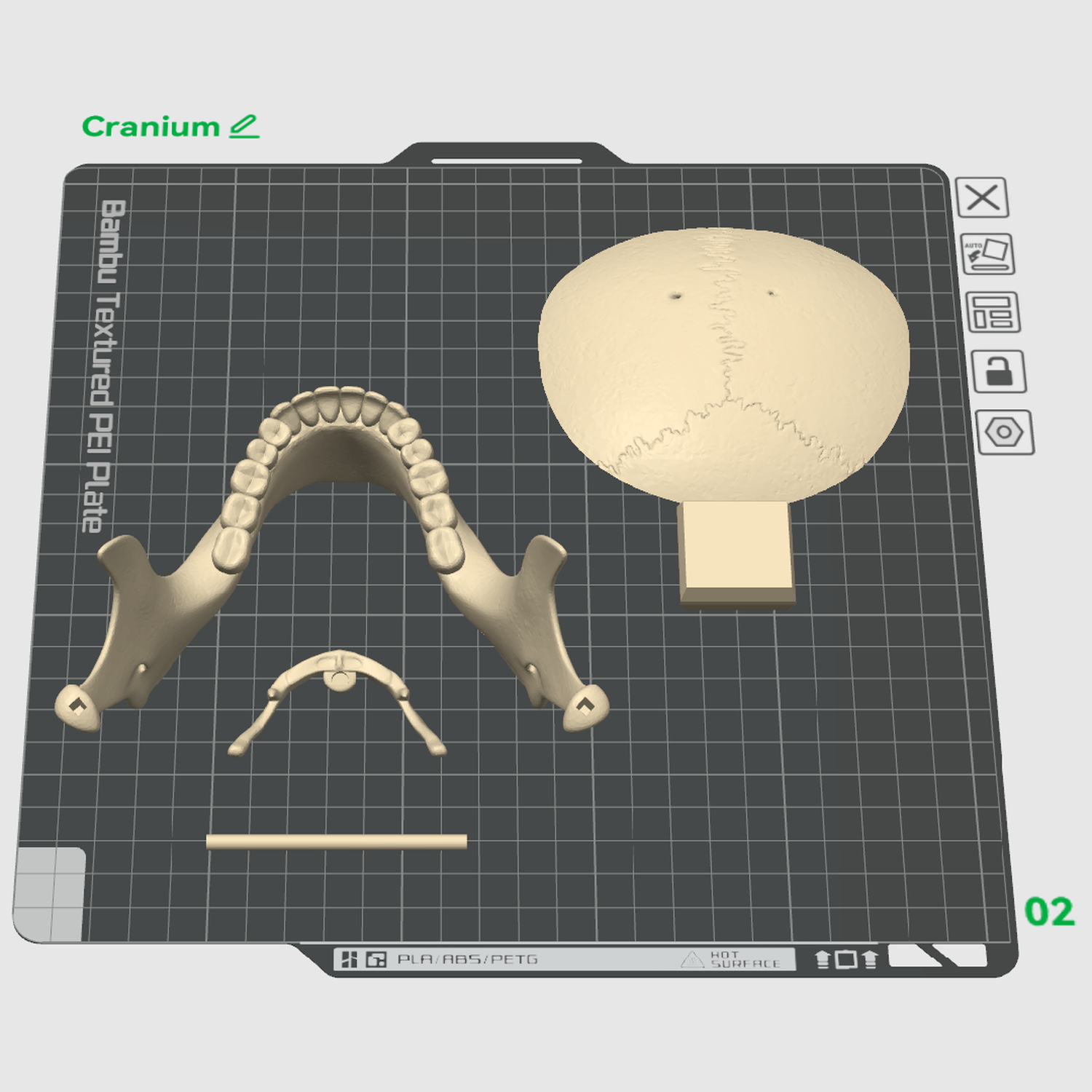Cranium