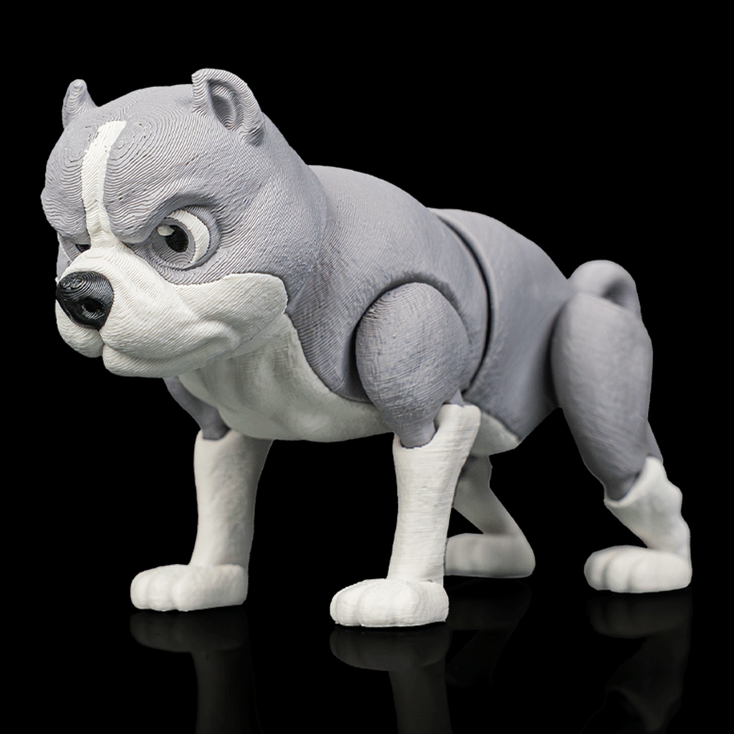 American bully articulado Diesel