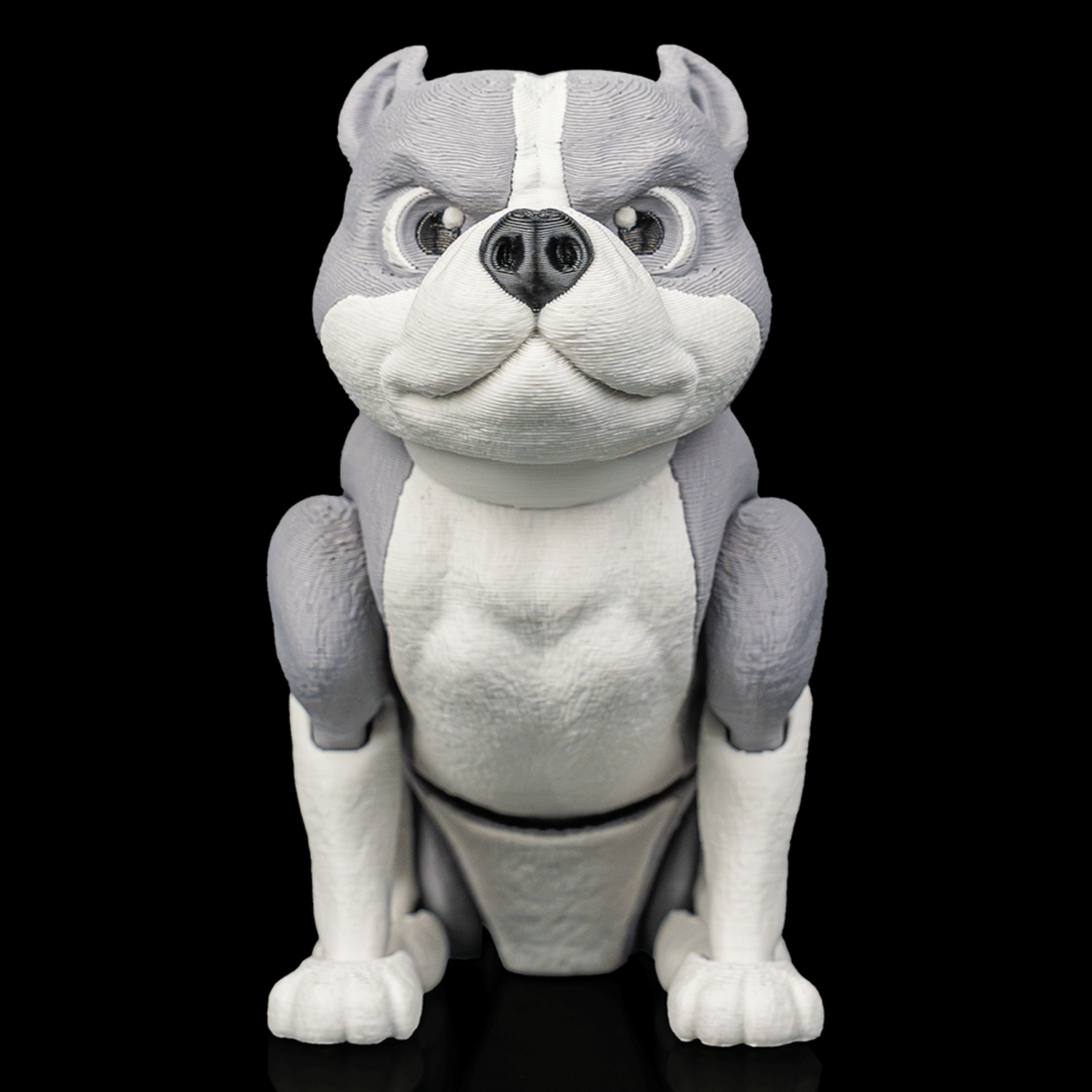 American bully articulado Diesel