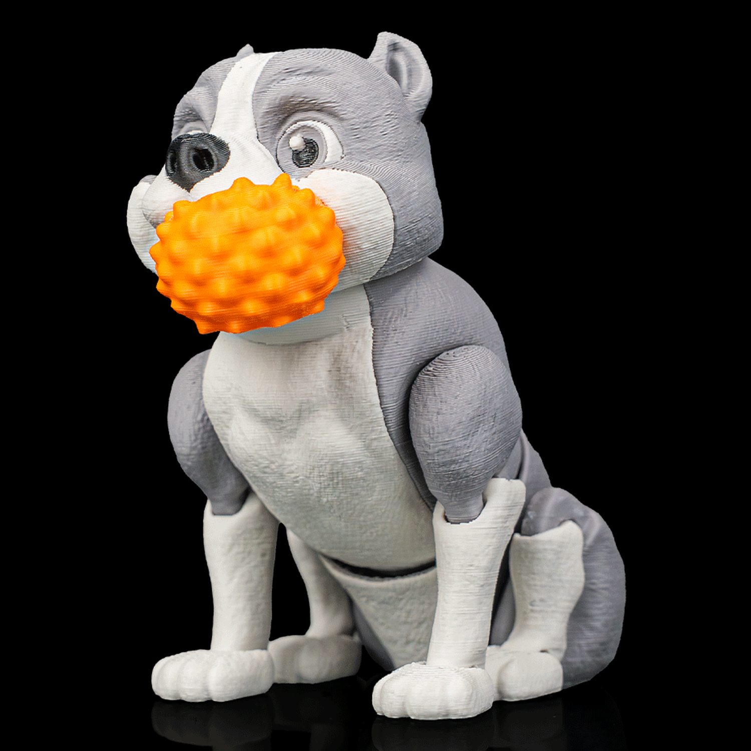 American bully articulado Diesel