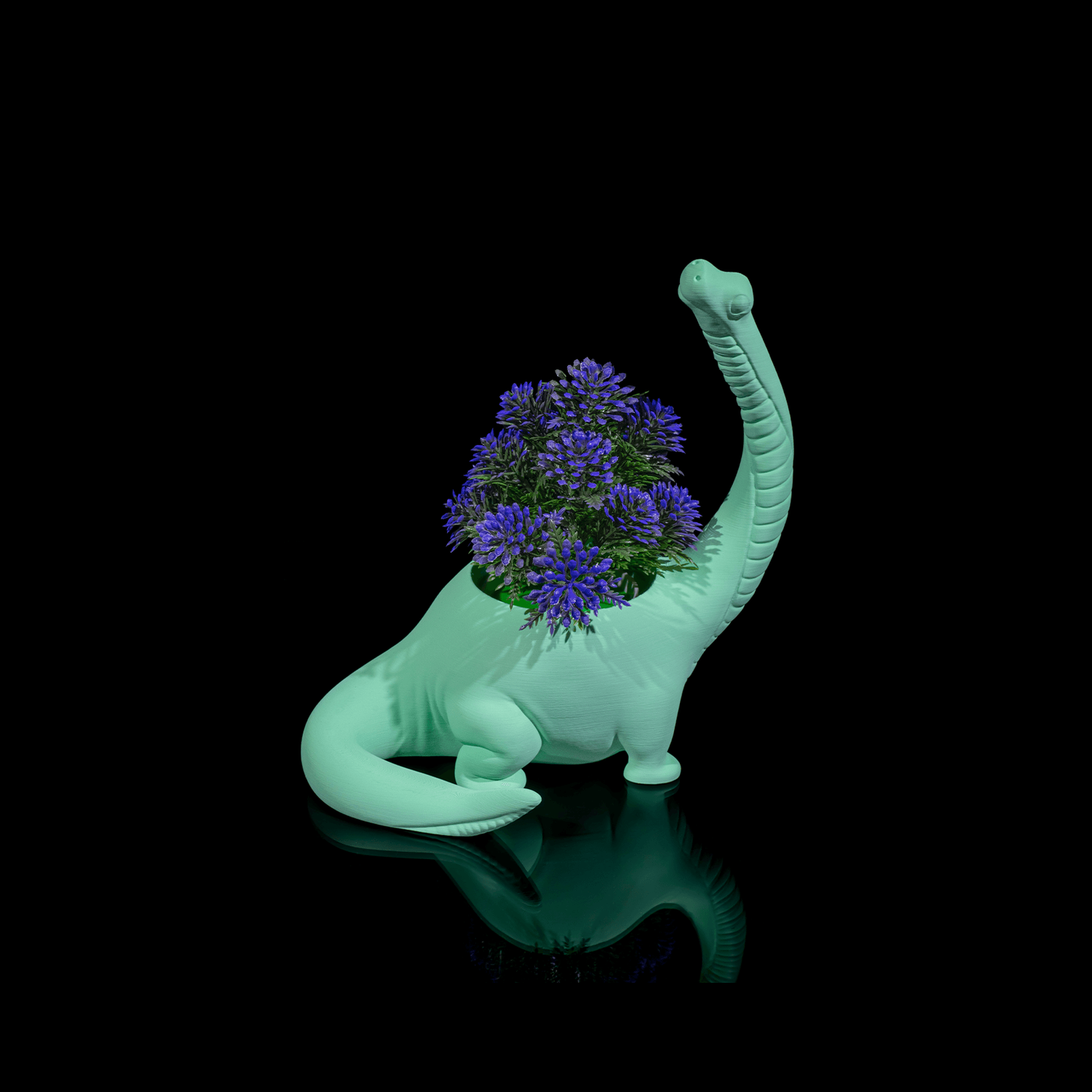 Maceta Herbivore - Back