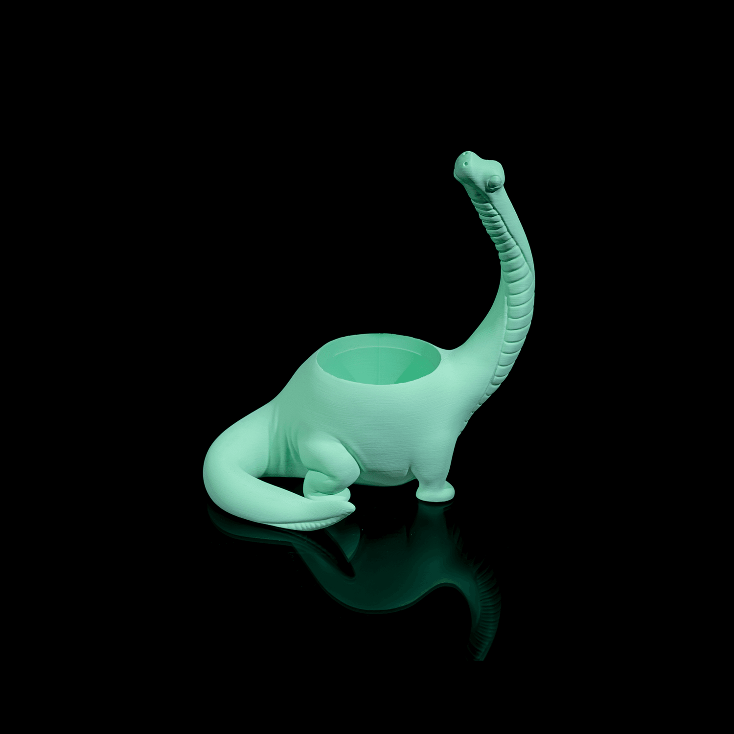 Maceta Herbivore - Back