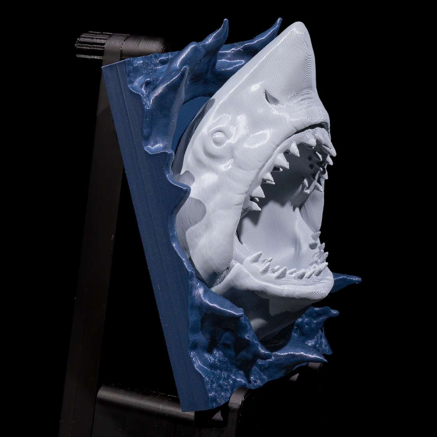 Embellecedor de interruptor Great Shark