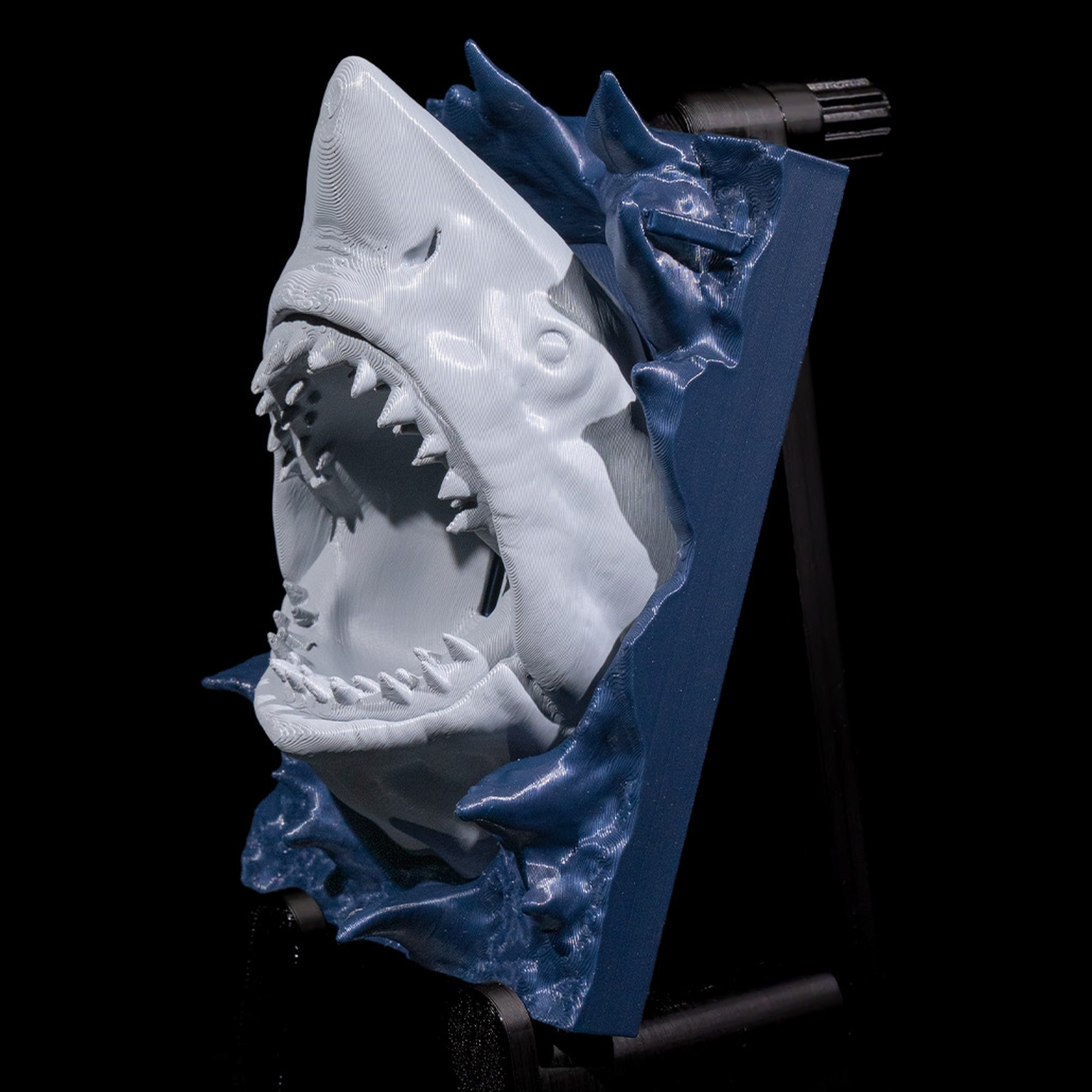 Embellecedor de interruptor Great Shark
