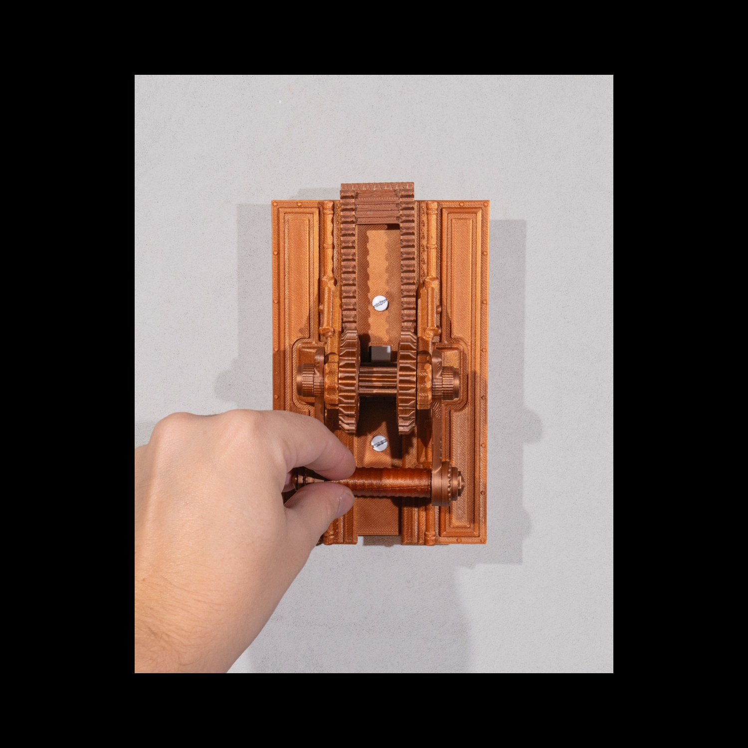 Embellecedor de interruptor The Right Lever