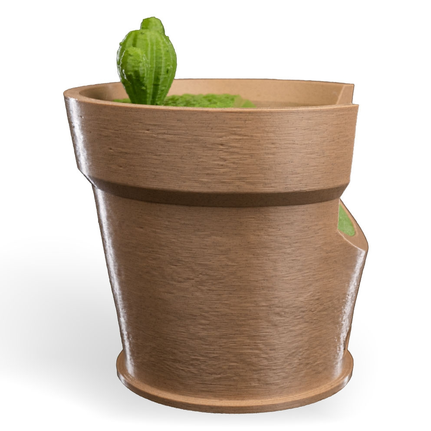 Cactus Vase — Lámpara de pared