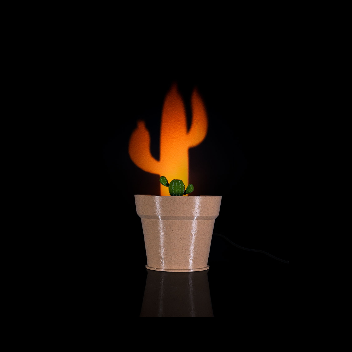 Cactus Vase — Lámpara de pared