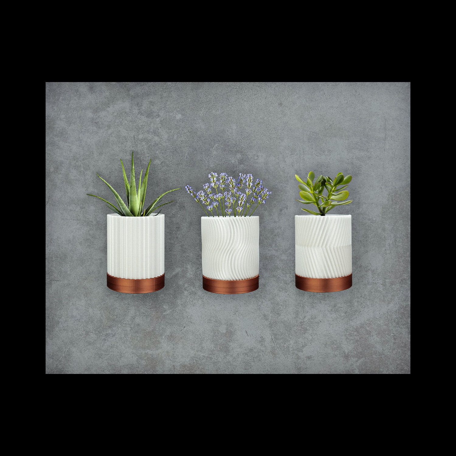 Conjunto de macetas de pared CYLINDRIX