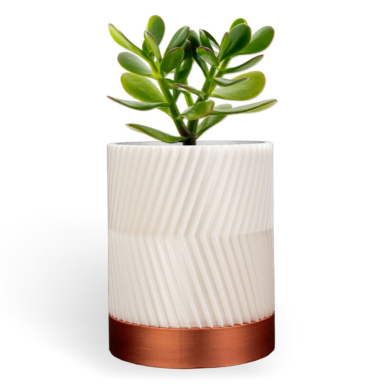 Conjunto de macetas de pared CYLINDRIX
