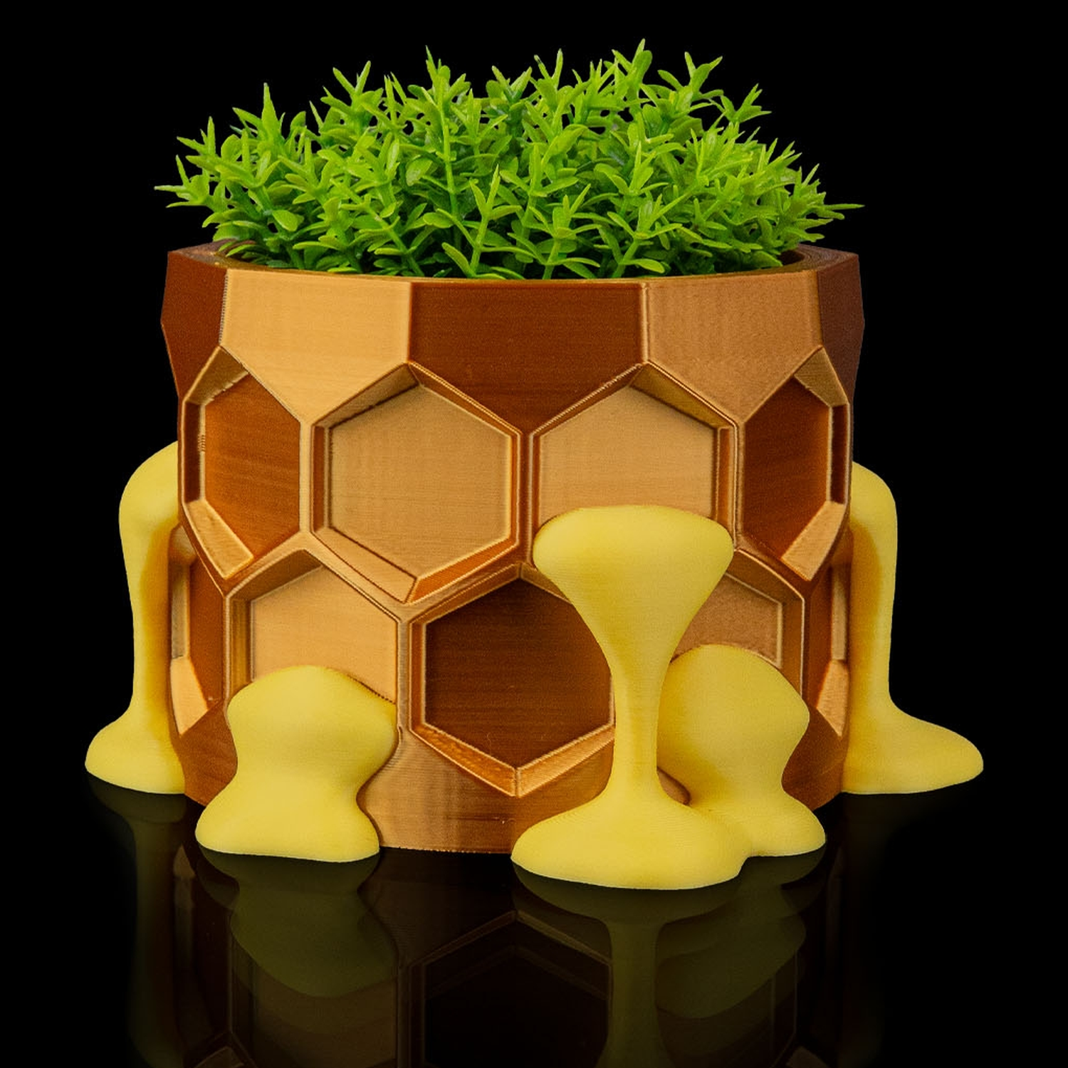 Maceta Hive Minded
