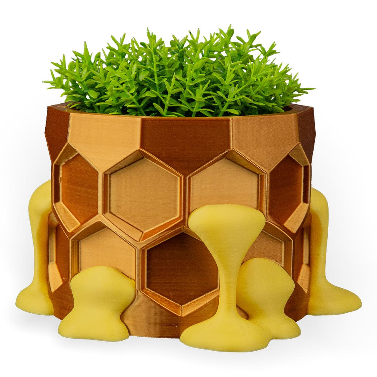 Maceta Hive Minded