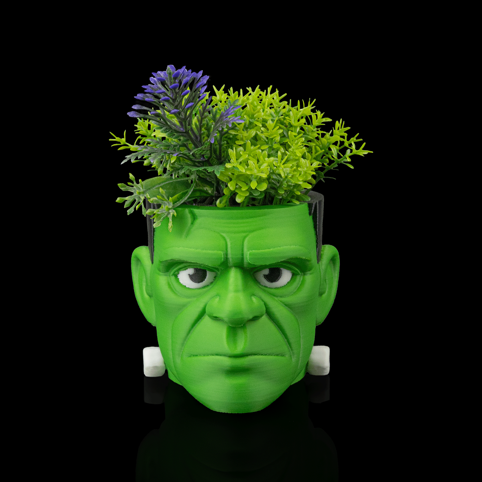 Maceta Head