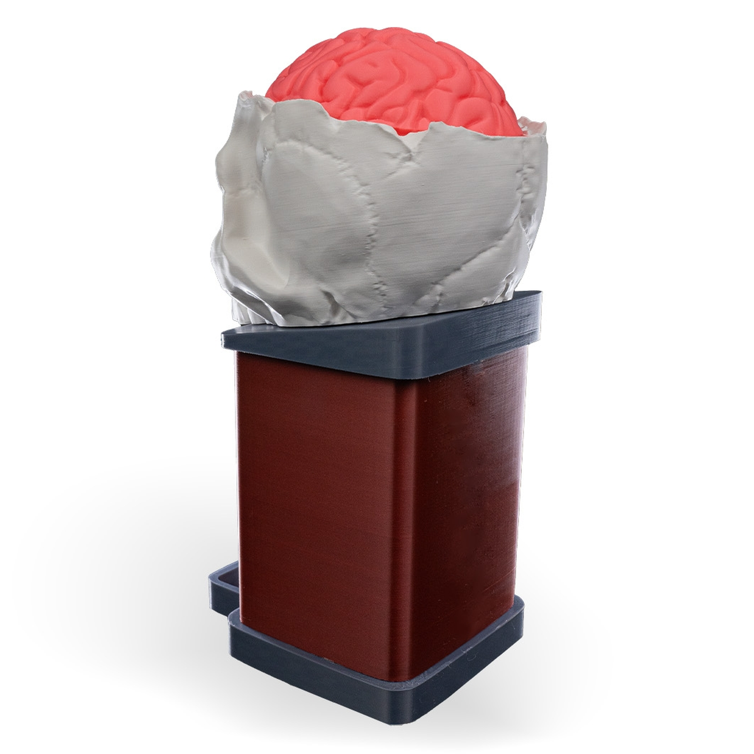 Dispensador de caramelos Bone Appétit
