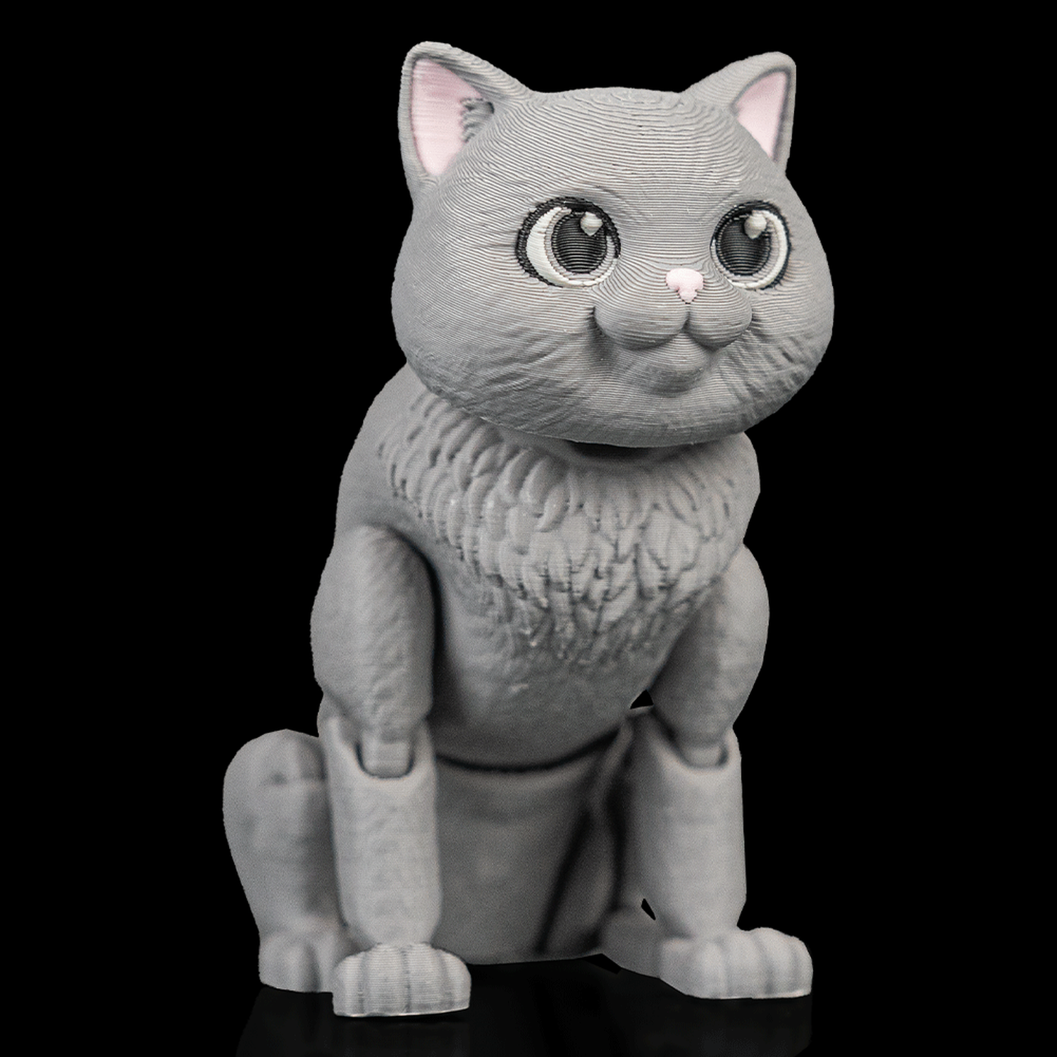 Gato británico de pelo corto articulado Oliver