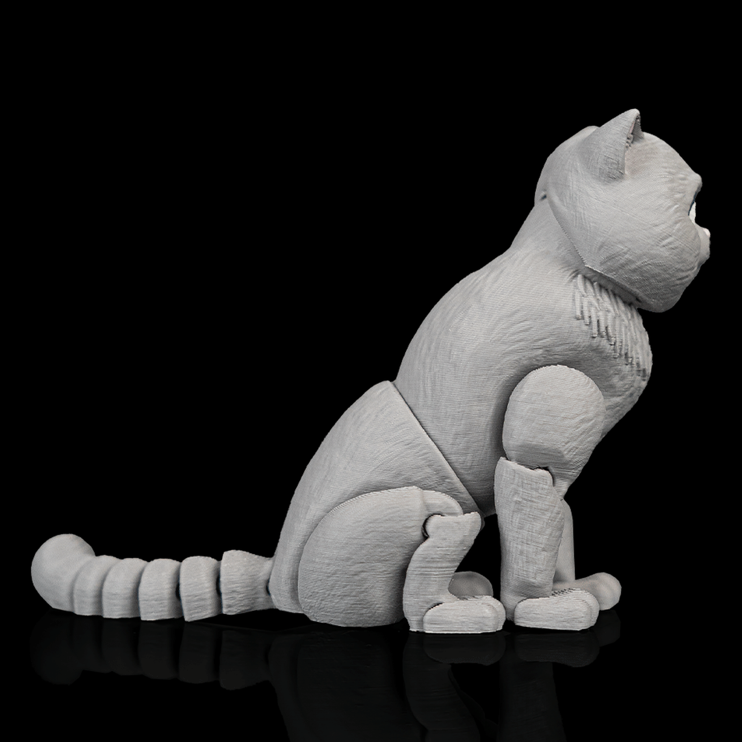 Gato británico de pelo corto articulado Oliver